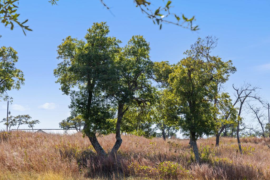 41 Moon Beam Ct, Blanco, TX 78606