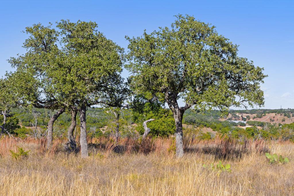 41 Moon Beam Ct, Blanco, TX 78606