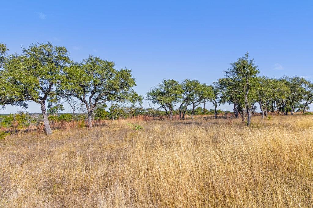 41 Moon Beam Ct, Blanco, TX 78606