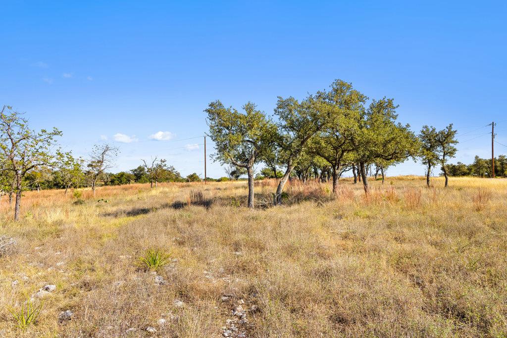 41 Moon Beam Ct, Blanco, TX 78606