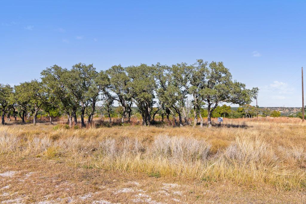 41 Moon Beam Ct, Blanco, TX 78606