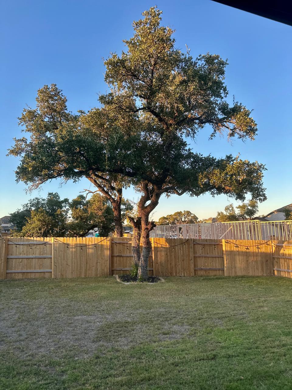 1113 Scenic Green Loop, Georgetown, TX 78628