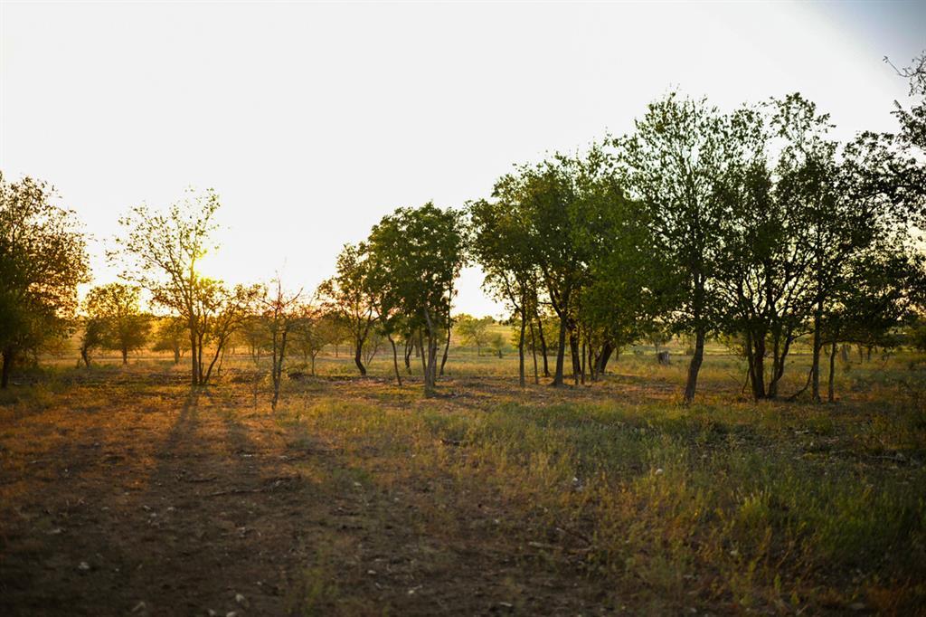 6327 Solana Ranch Rd, Salado, TX 76571