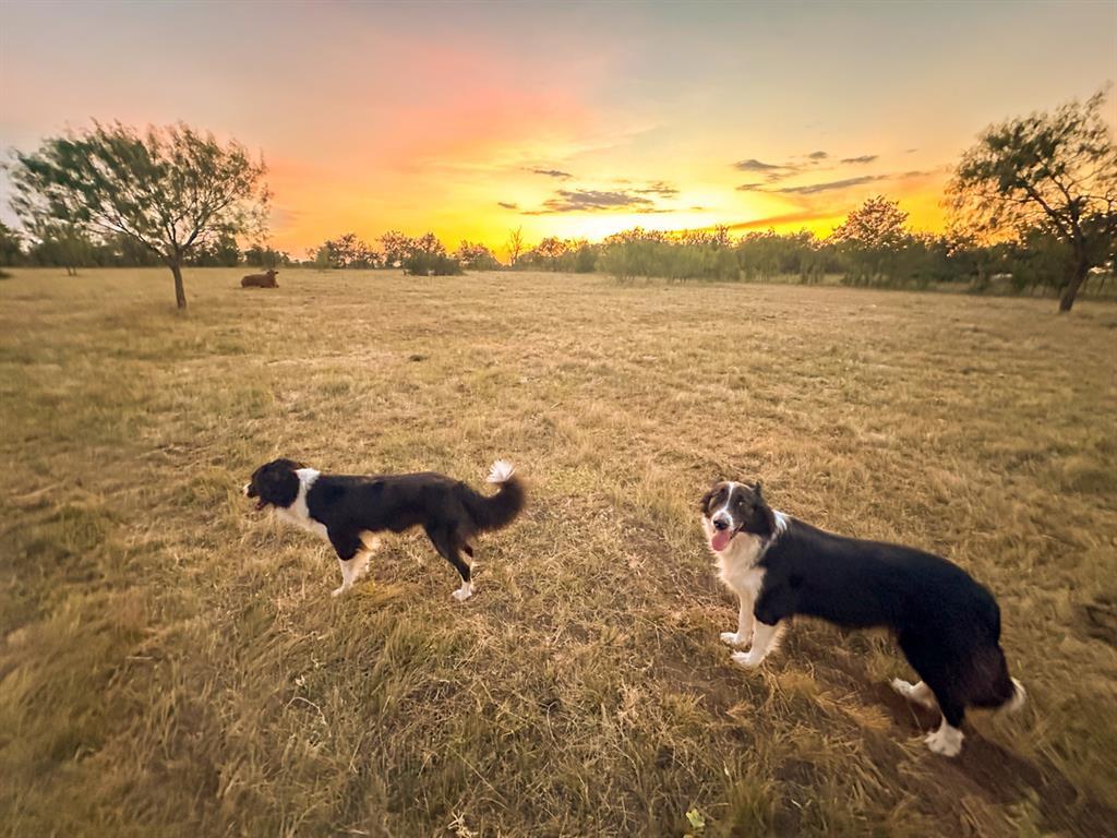 6327 Solana Ranch Rd, Salado, TX 76571