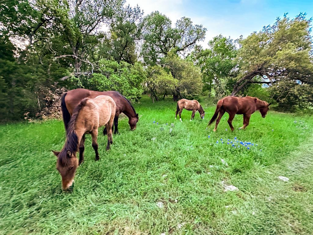6327 Solana Ranch Rd, Salado, TX 76571