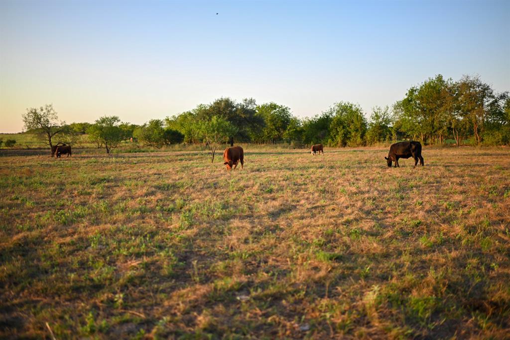 6327 Solana Ranch Rd, Salado, TX 76571