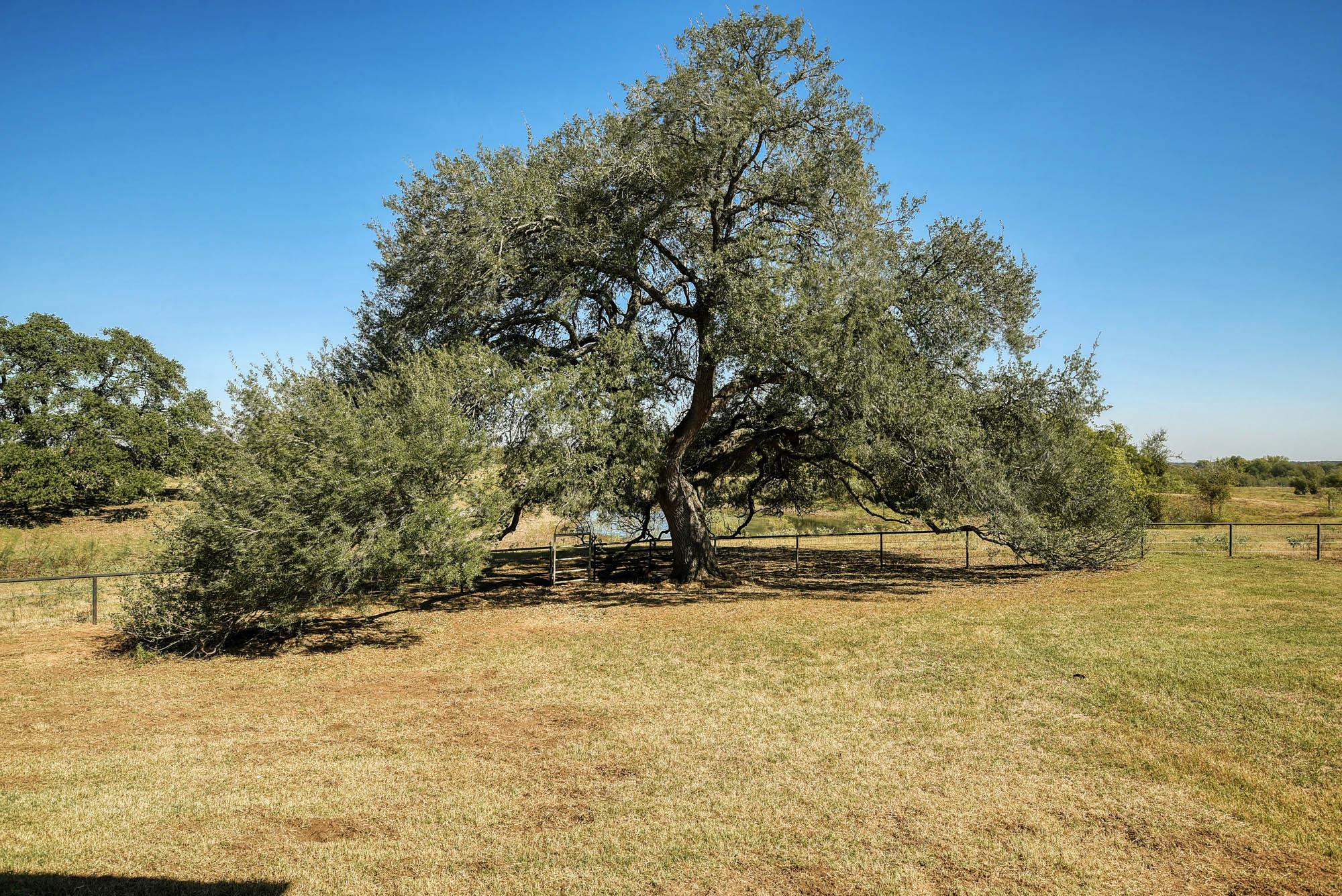 603 Watterson Rd # B and C, Bastrop, TX 78602