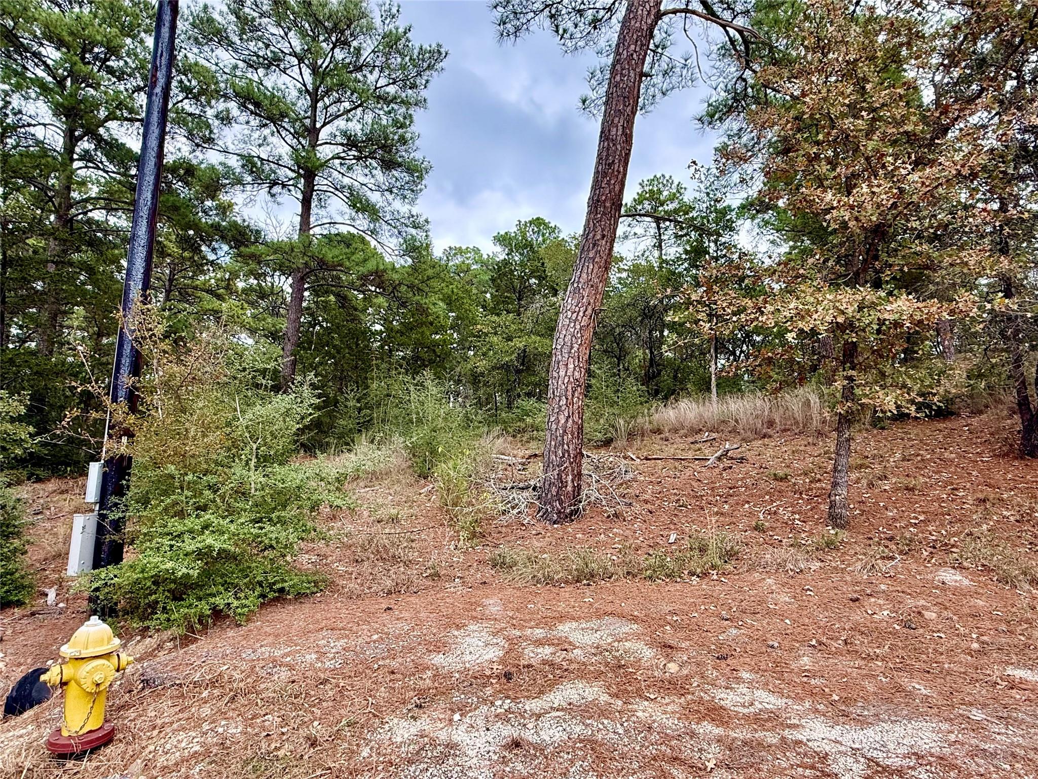 109 and 115 Olomana Ct, Bastrop, TX 78602