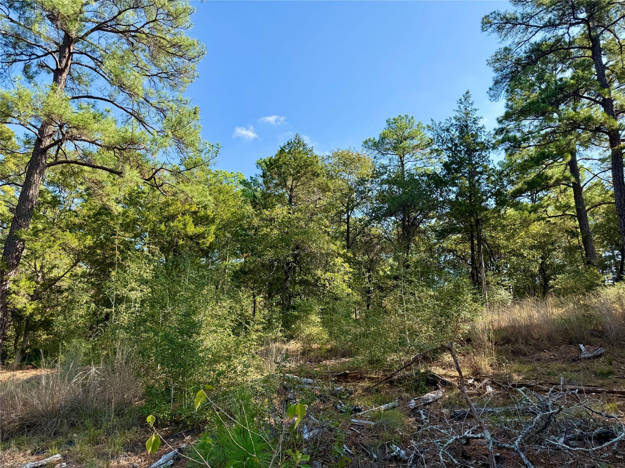 109 and 115 Olomana Ct, Bastrop, TX 78602