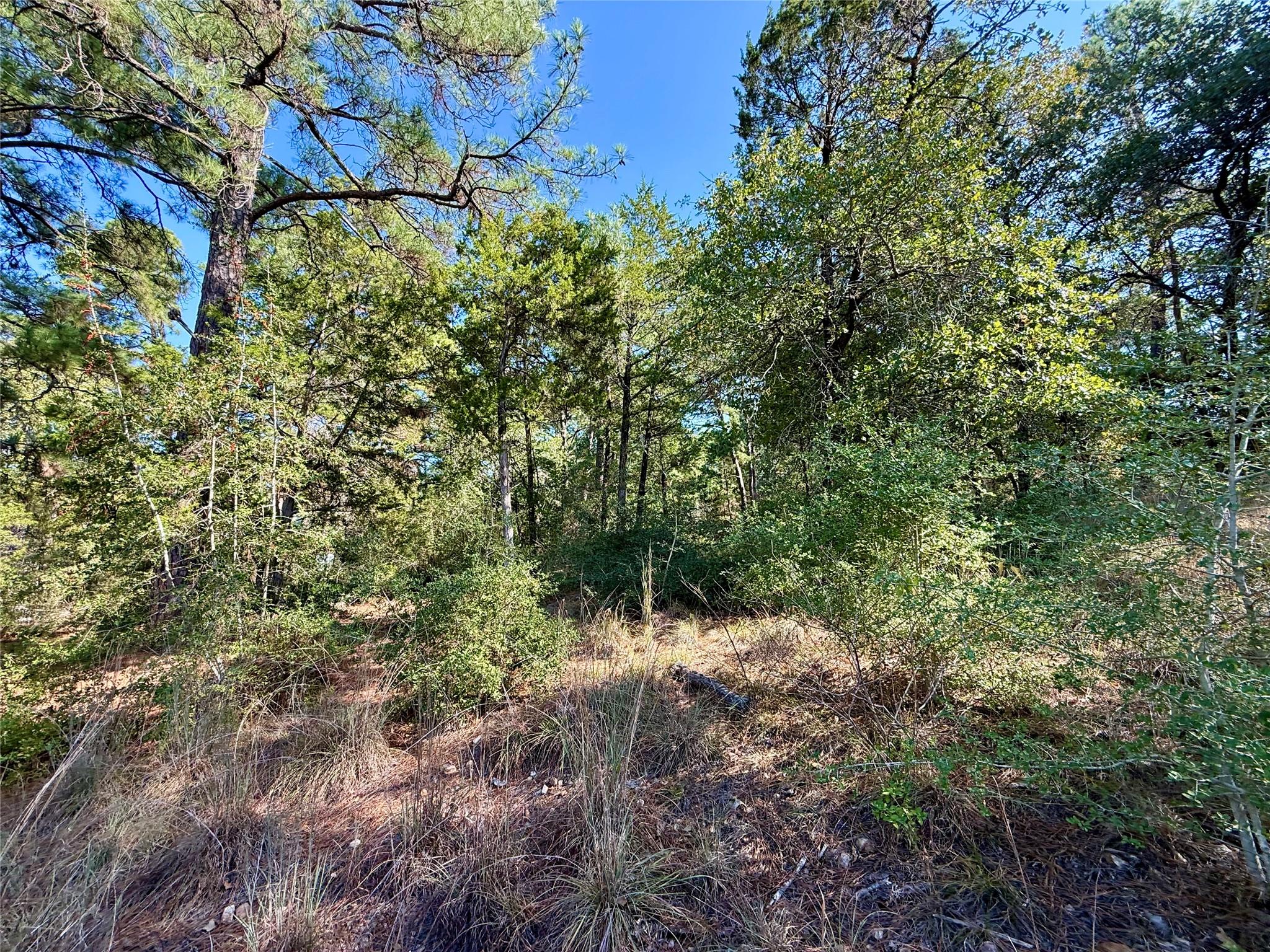 109 and 115 Olomana Ct, Bastrop, TX 78602