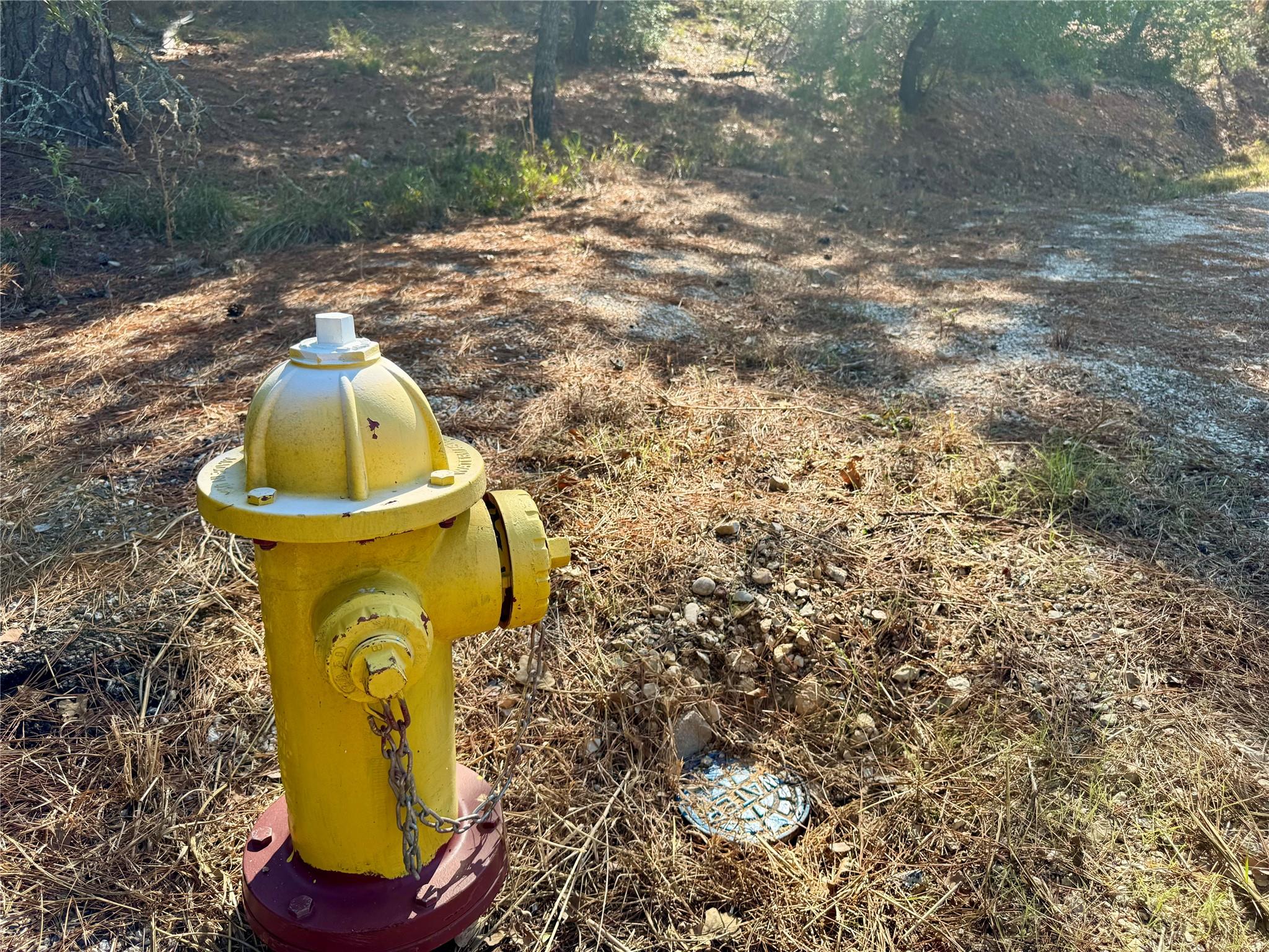 109 and 115 Olomana Ct, Bastrop, TX 78602