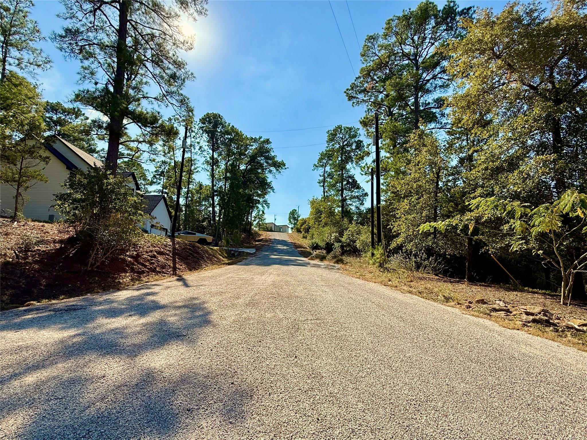 109 and 115 Olomana Ct, Bastrop, TX 78602