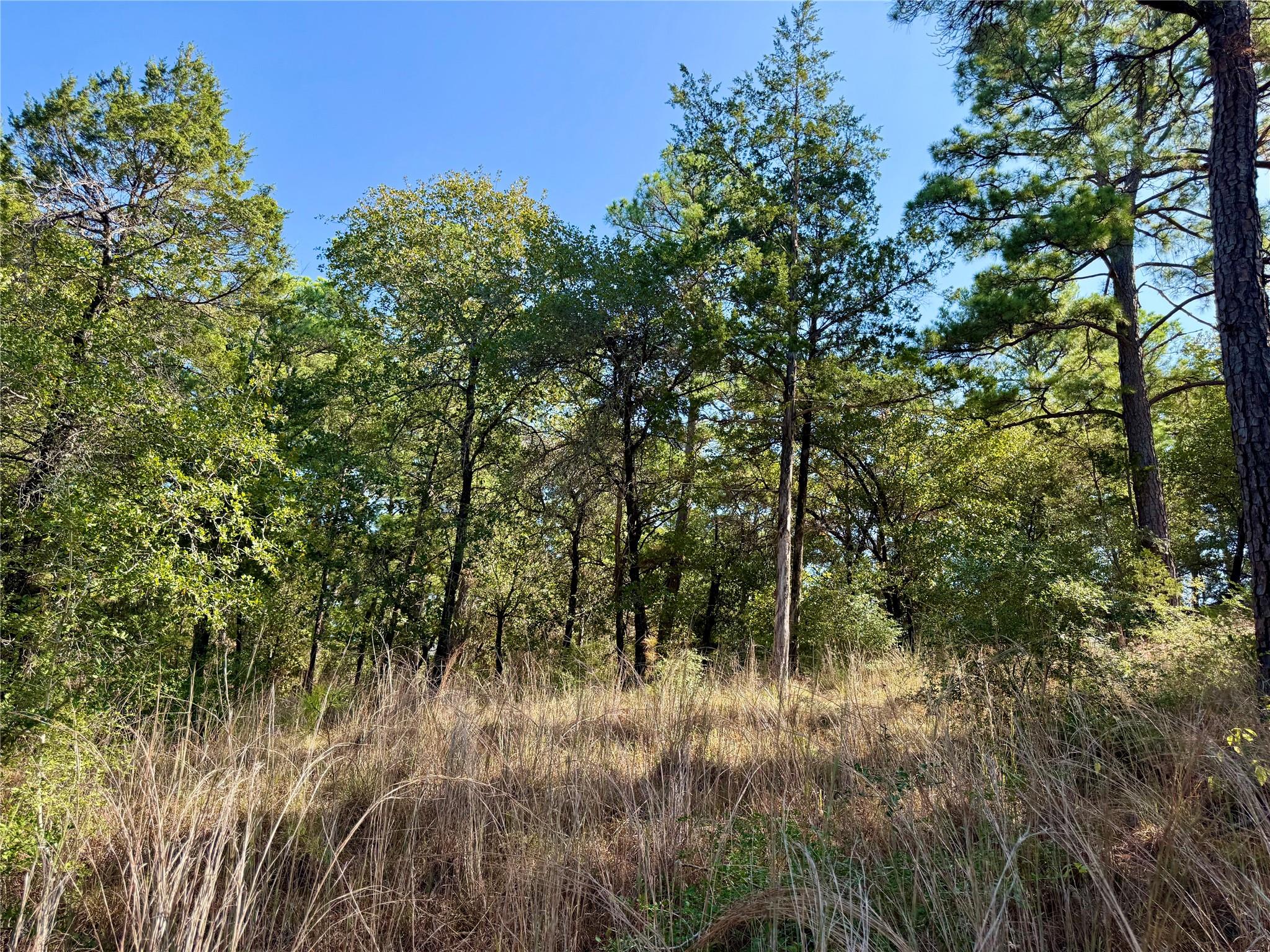 109 and 115 Olomana Ct, Bastrop, TX 78602