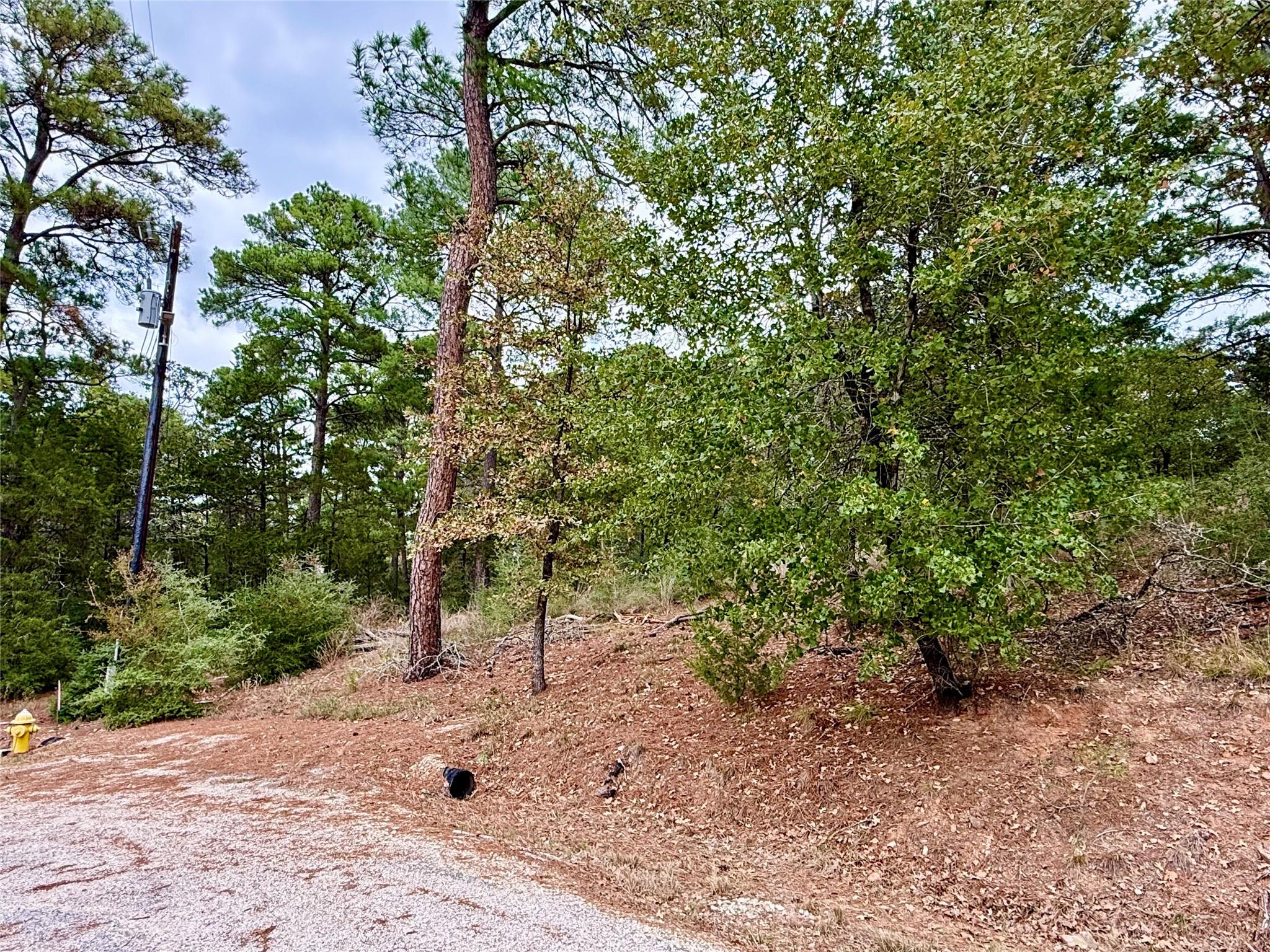 109 and 115 Olomana Ct, Bastrop, TX 78602