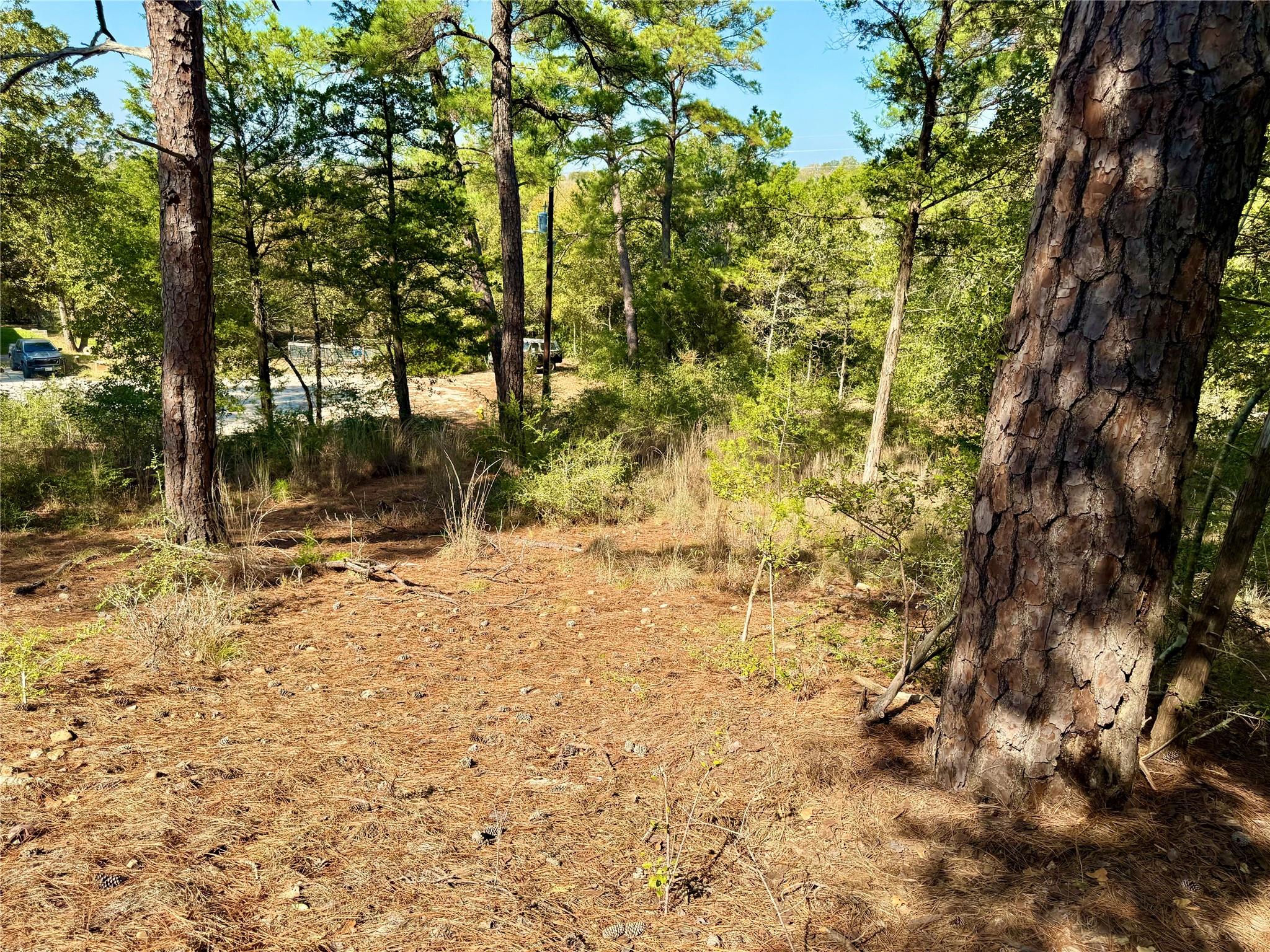 109 and 115 Olomana Ct, Bastrop, TX 78602