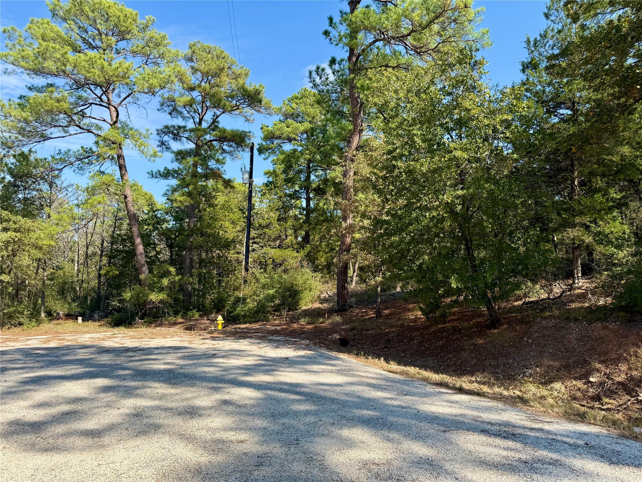 109 and 115 Olomana Ct, Bastrop, TX 78602