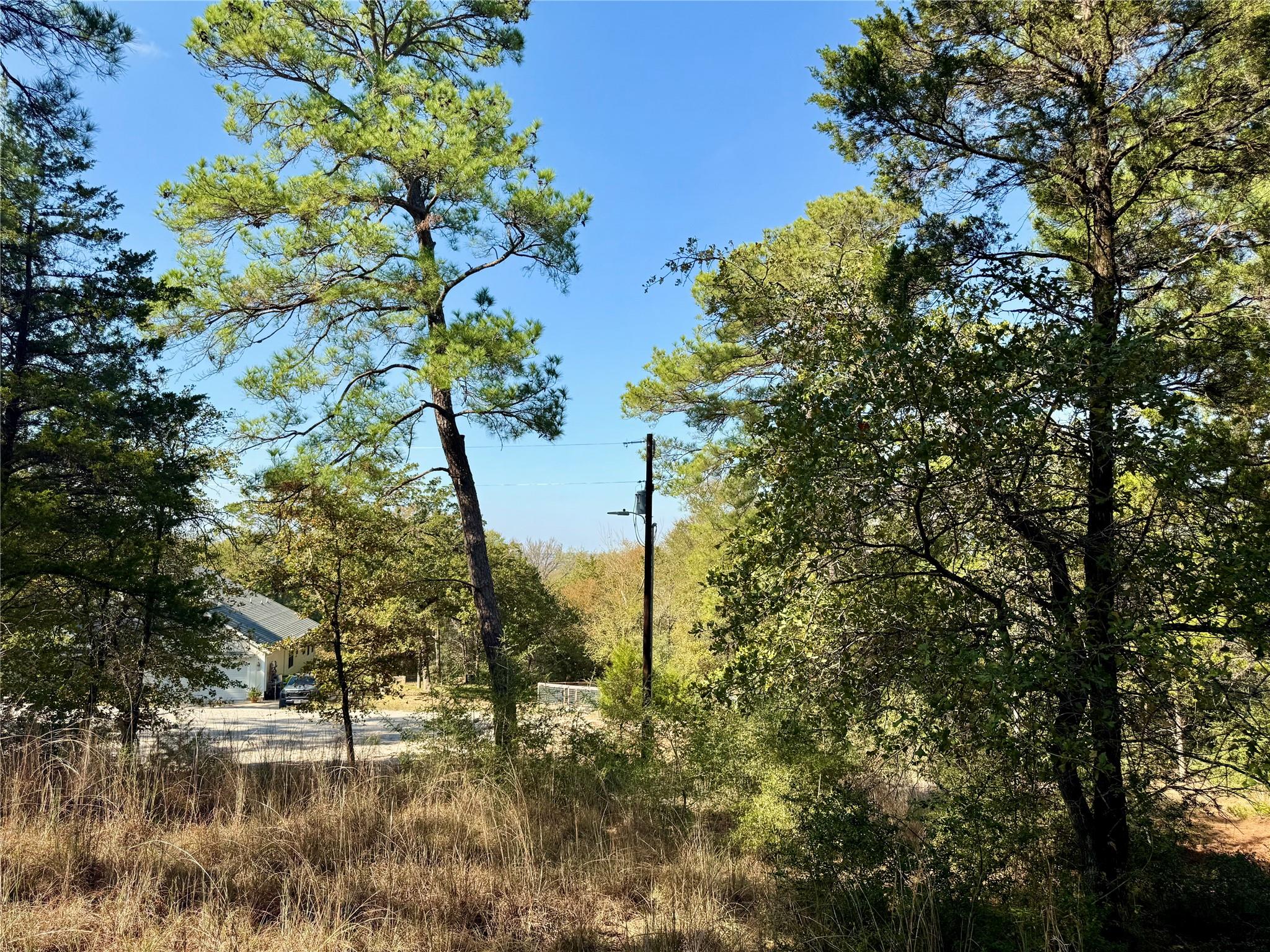 109 and 115 Olomana Ct, Bastrop, TX 78602