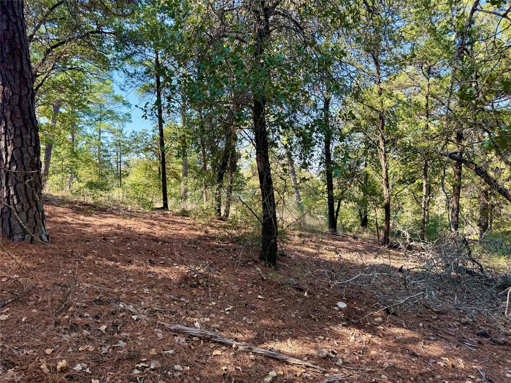 109 and 115 Olomana Ct, Bastrop, TX 78602