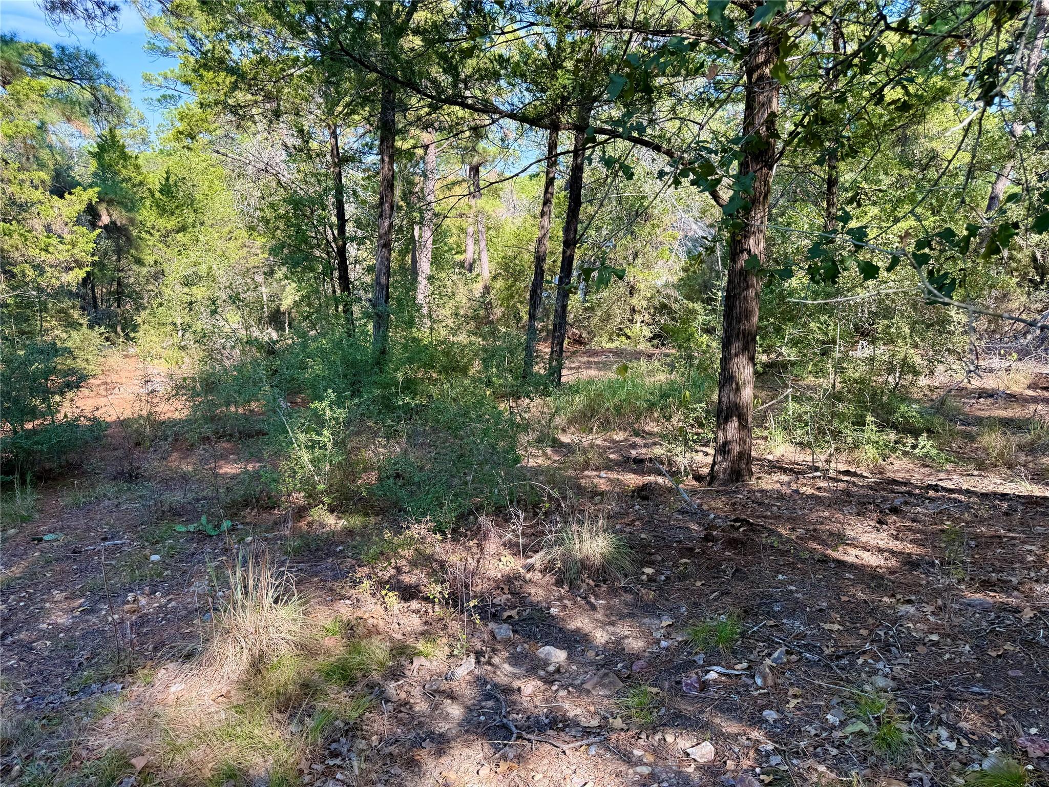 109 and 115 Olomana Ct, Bastrop, TX 78602