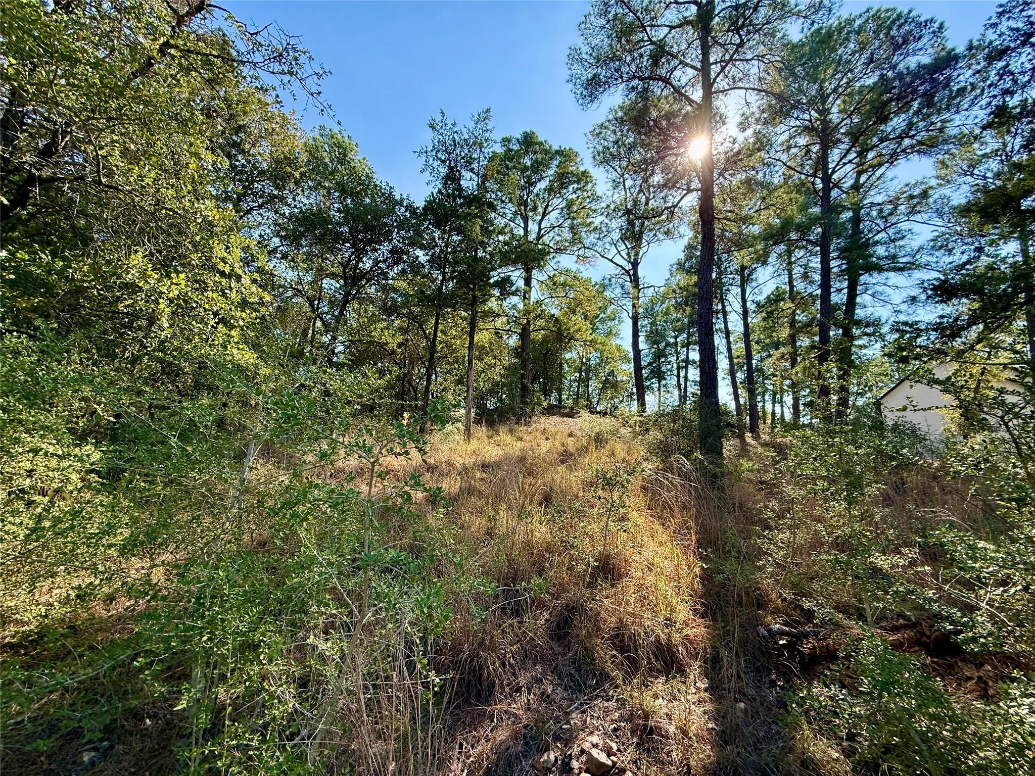 109 and 115 Olomana Ct, Bastrop, TX 78602