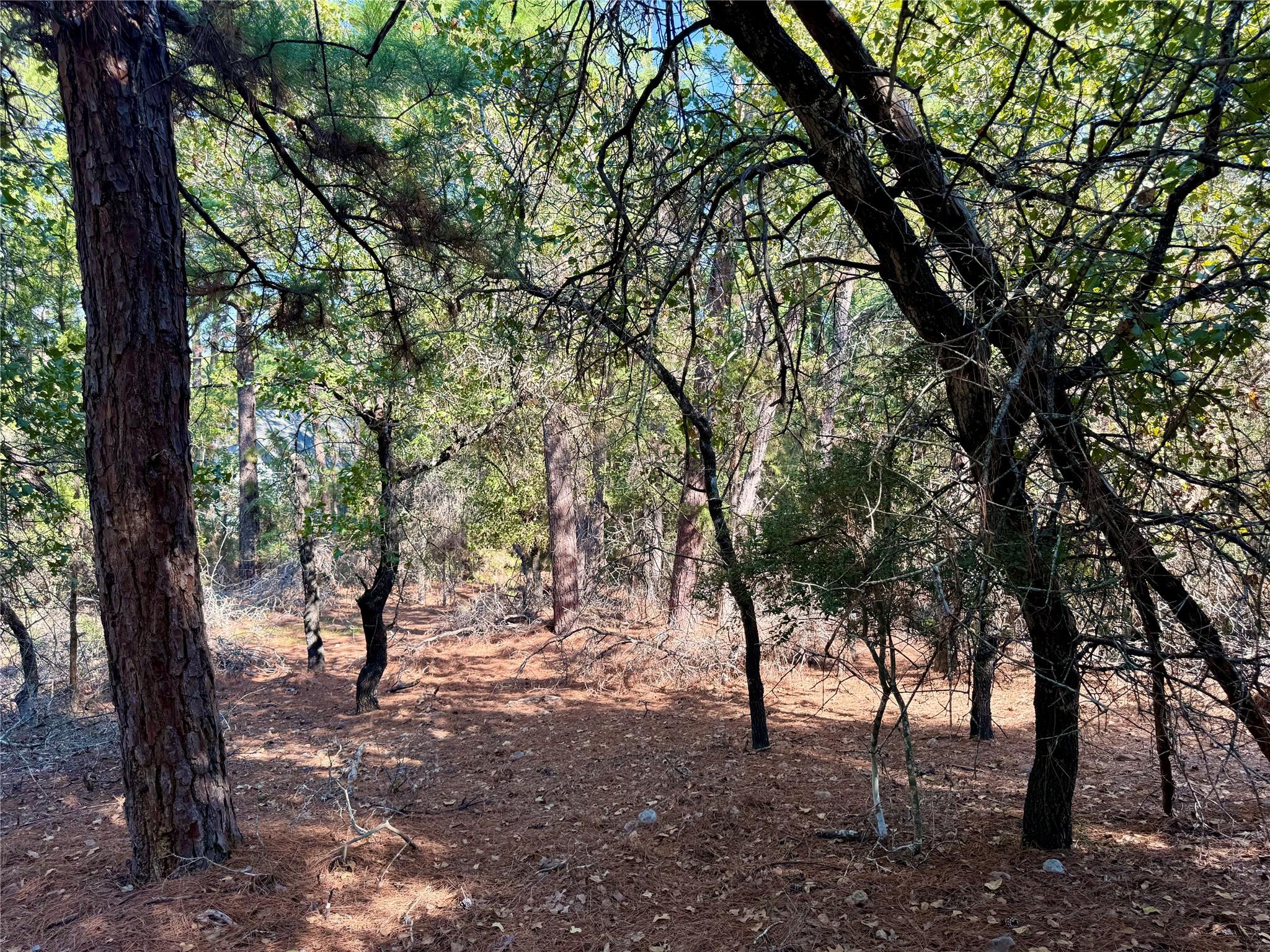 109 and 115 Olomana Ct, Bastrop, TX 78602