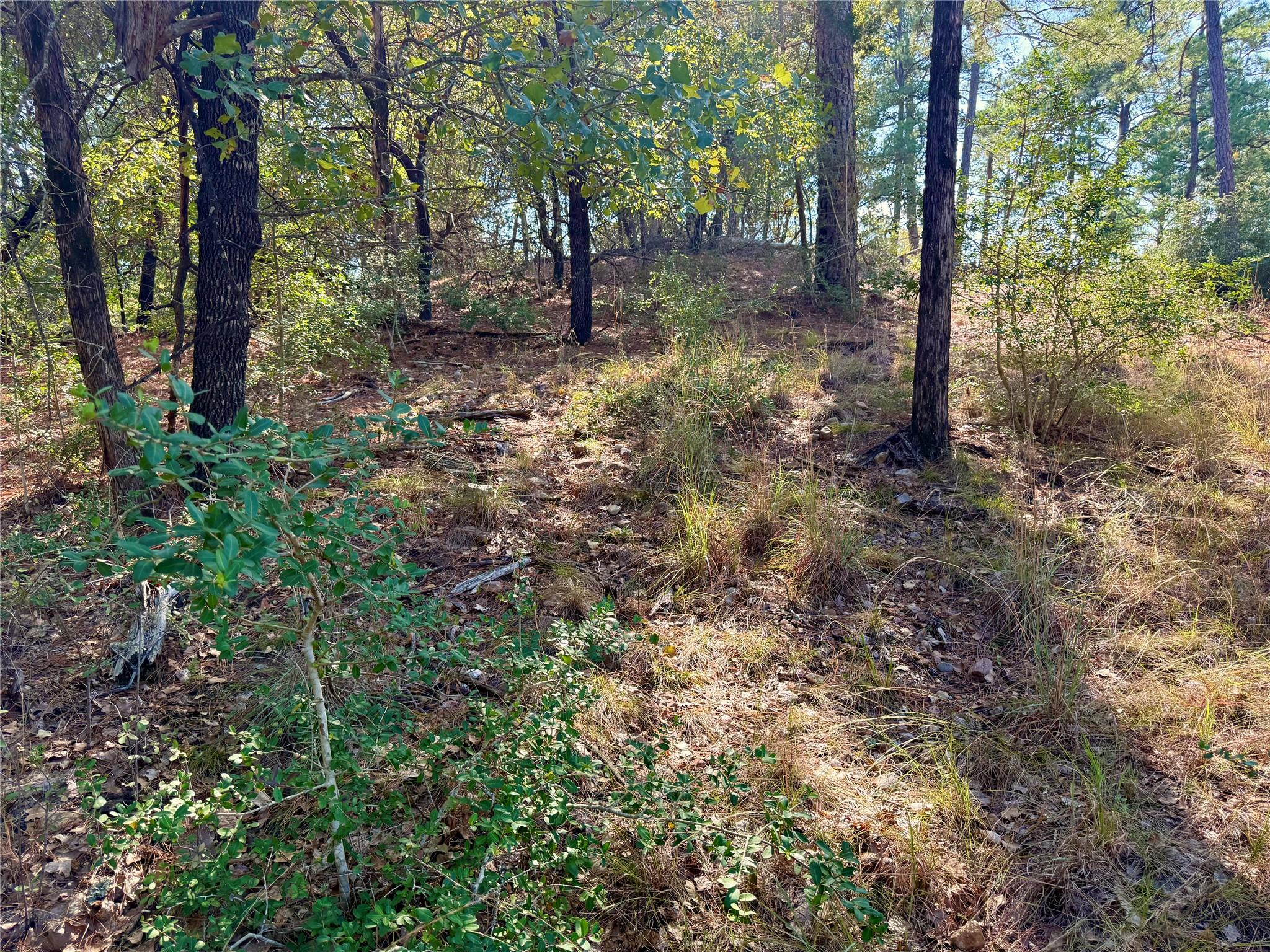 109 and 115 Olomana Ct, Bastrop, TX 78602