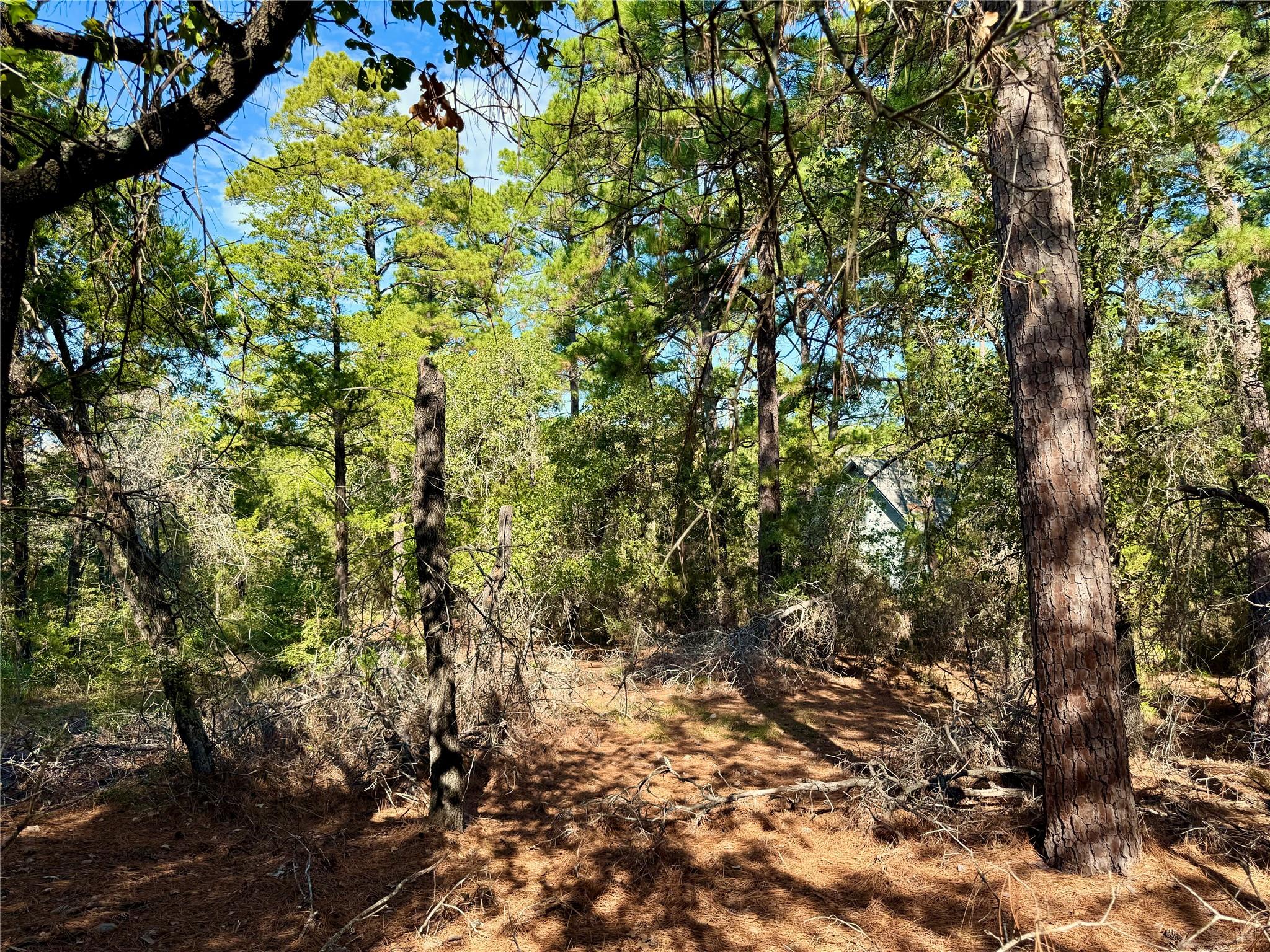 109 and 115 Olomana Ct, Bastrop, TX 78602