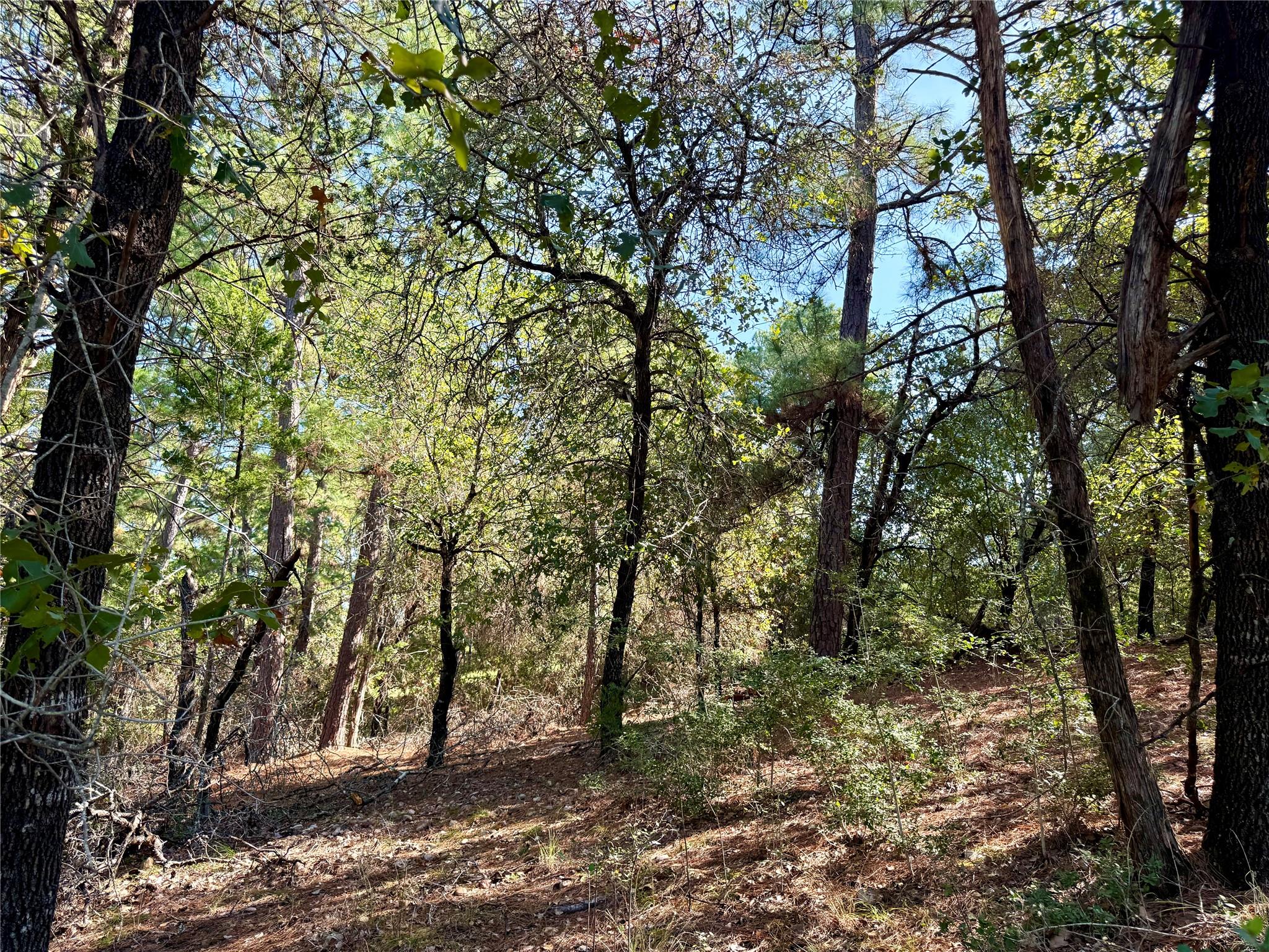 109 and 115 Olomana Ct, Bastrop, TX 78602