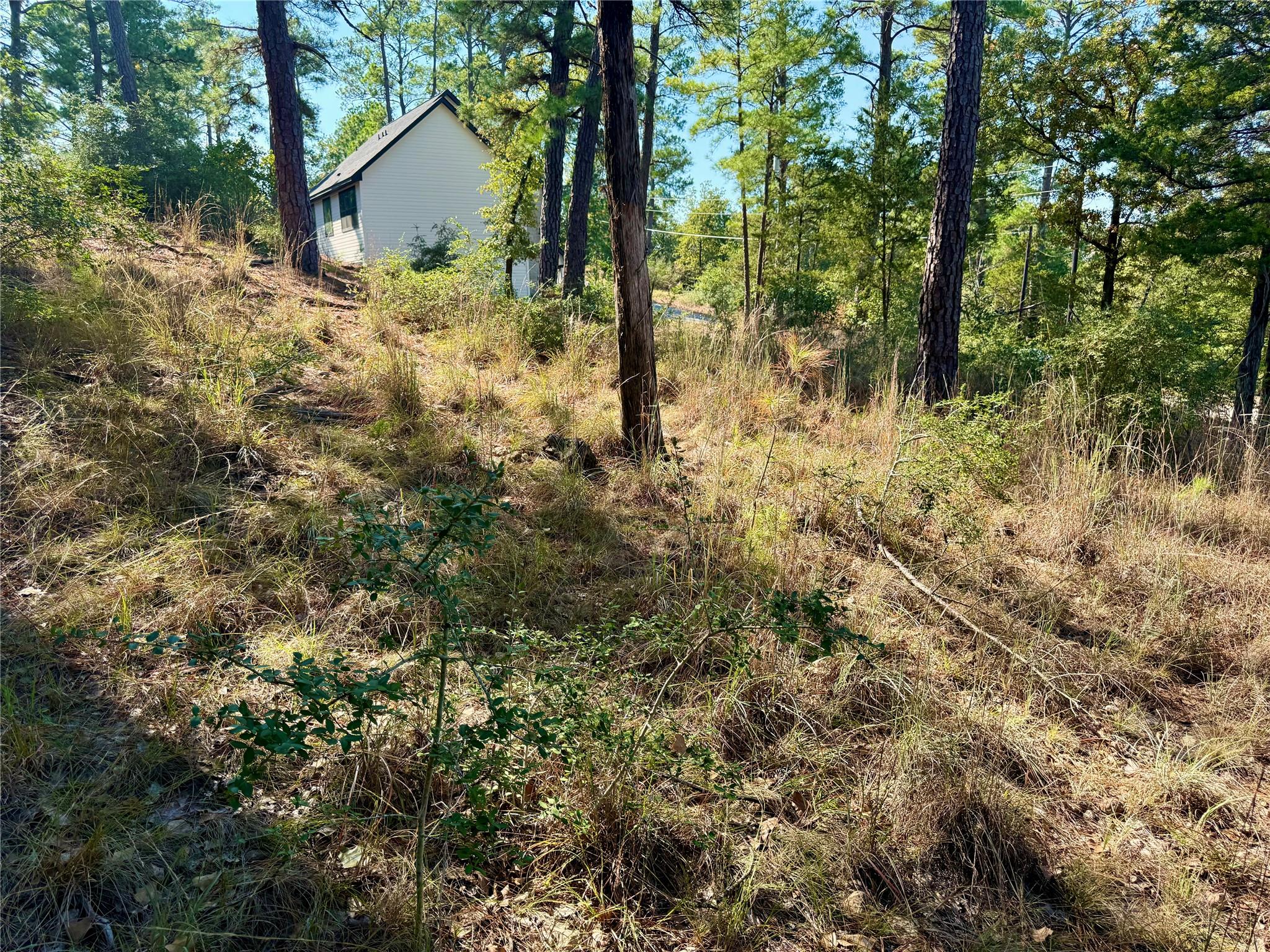 109 and 115 Olomana Ct, Bastrop, TX 78602