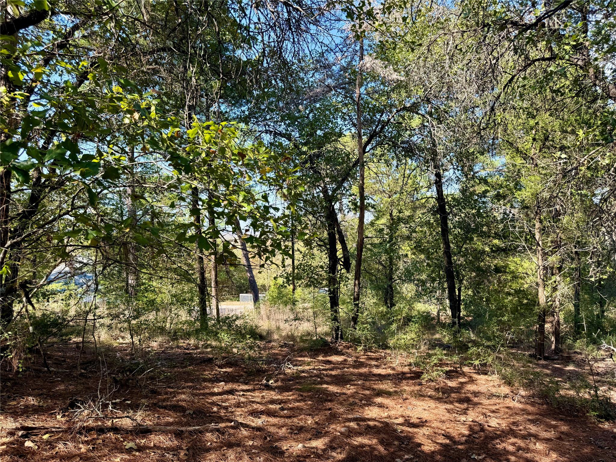 109 and 115 Olomana Ct, Bastrop, TX 78602