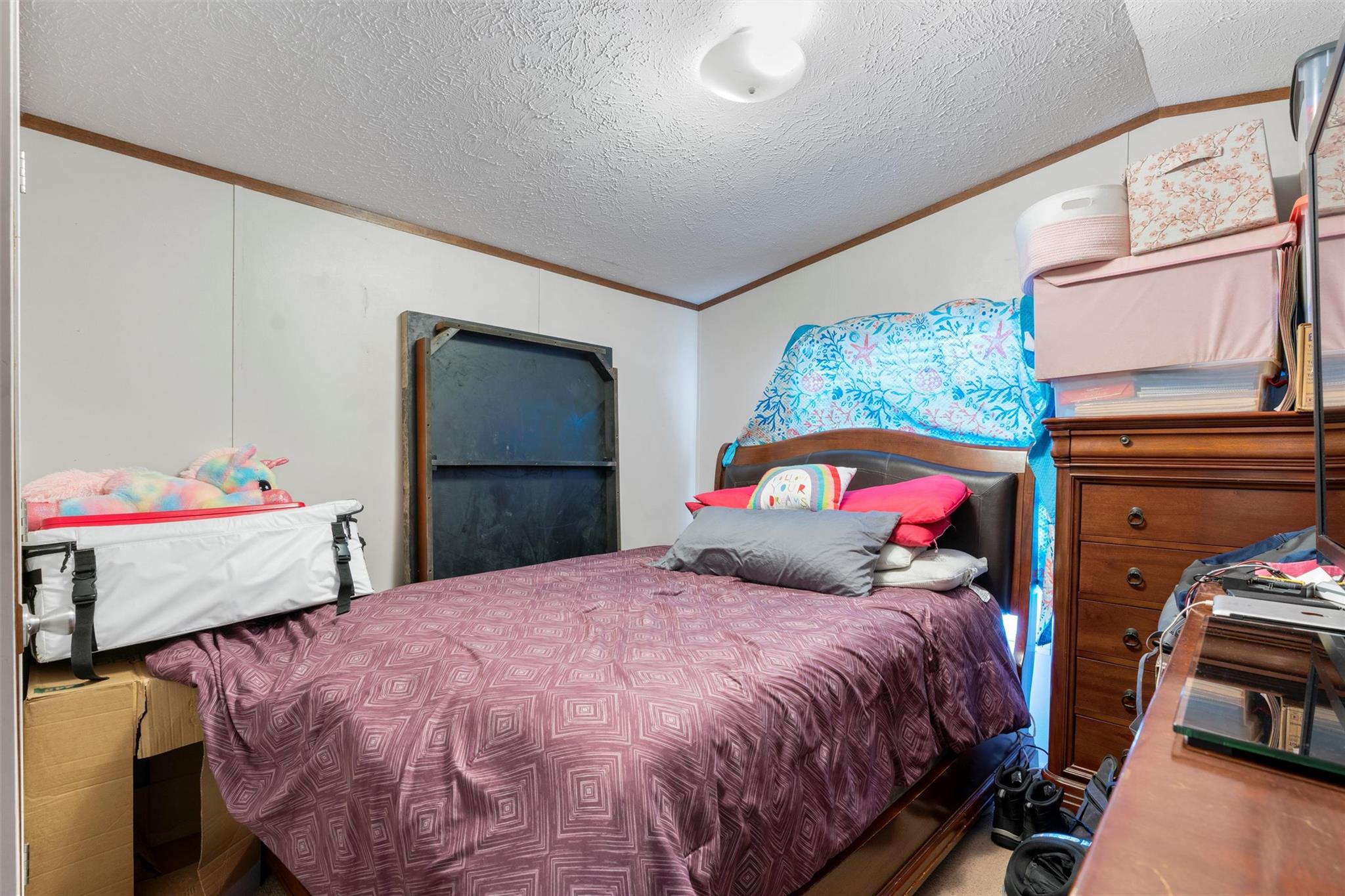 16629 Manda Carlson Rd, Manor, TX 78653