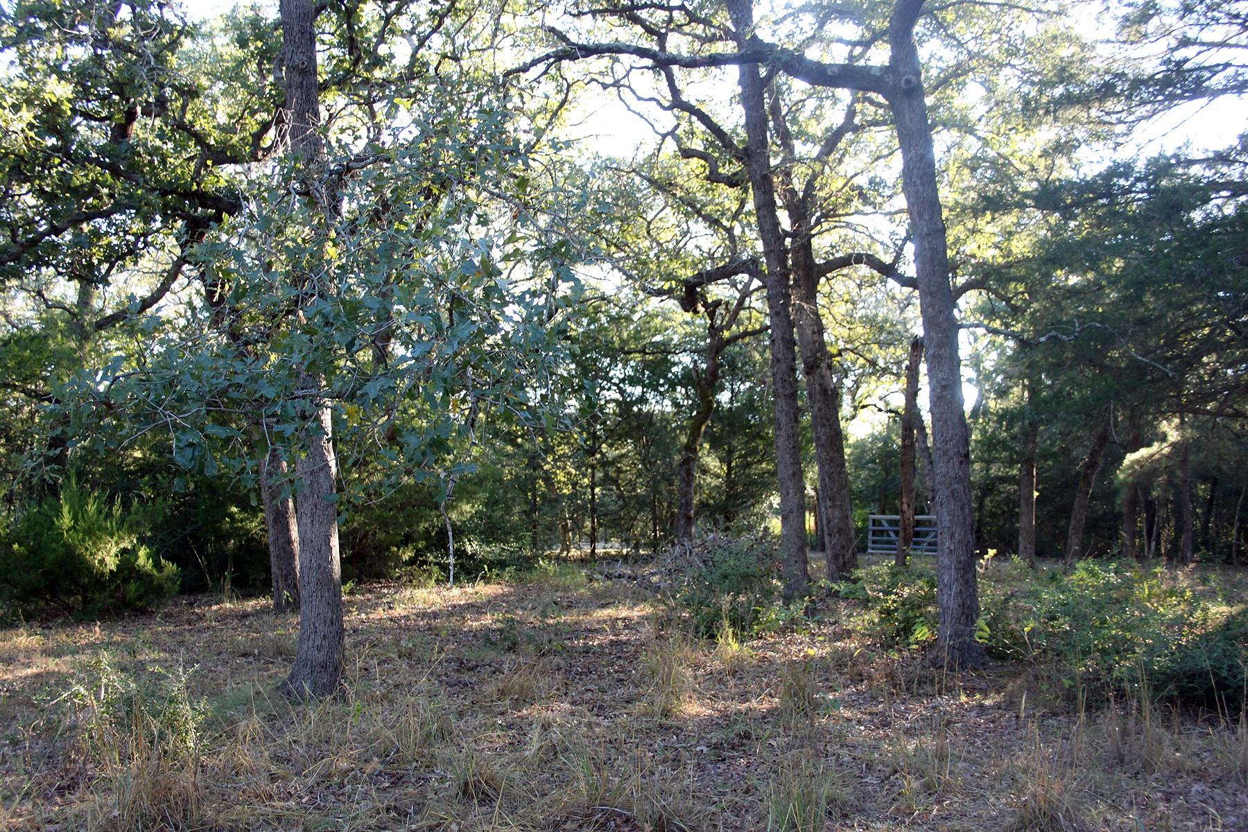 224 Sides Ln, Lockhart, TX 78644