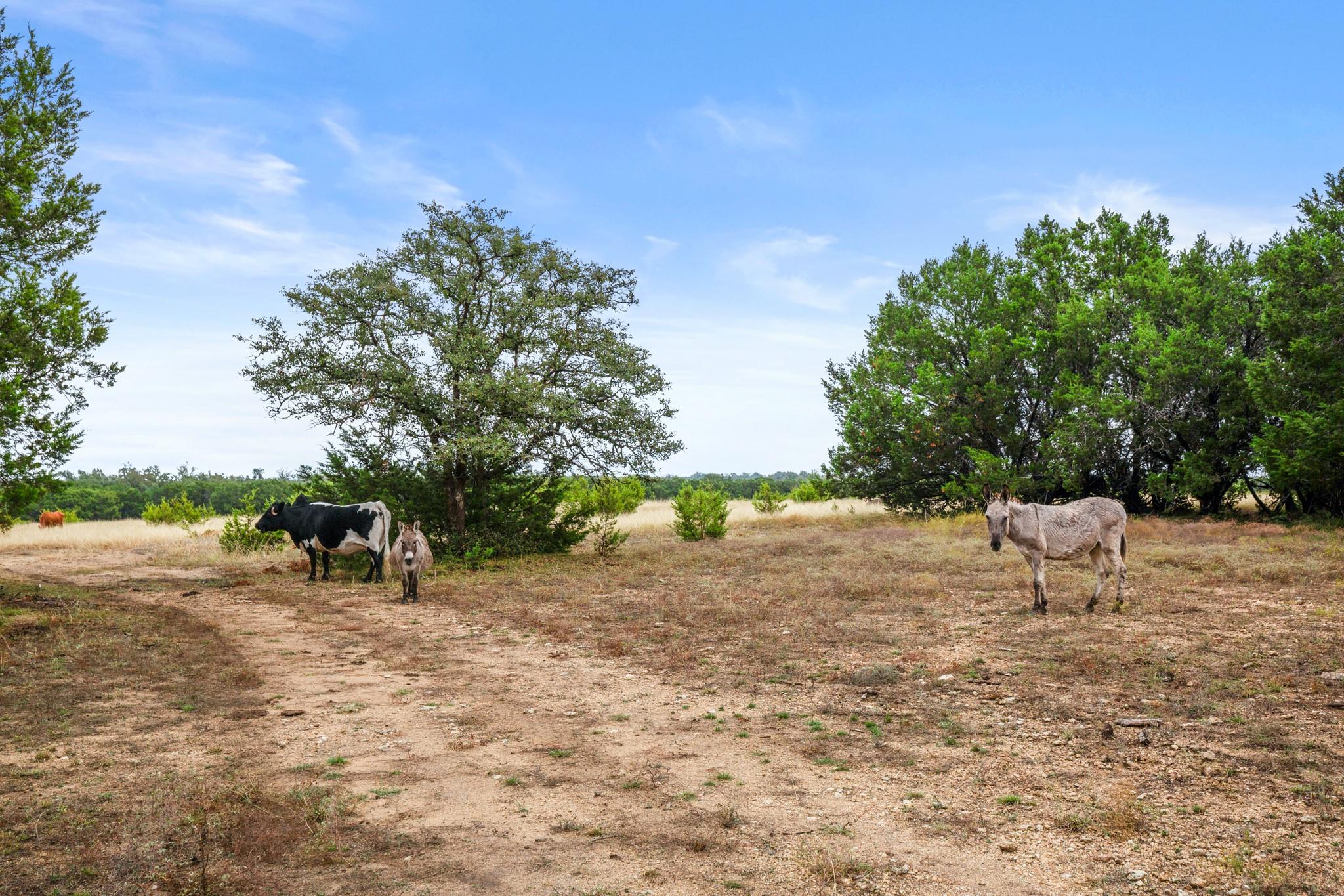 4340 County Road 284 Rd, Liberty Hill, TX 78642