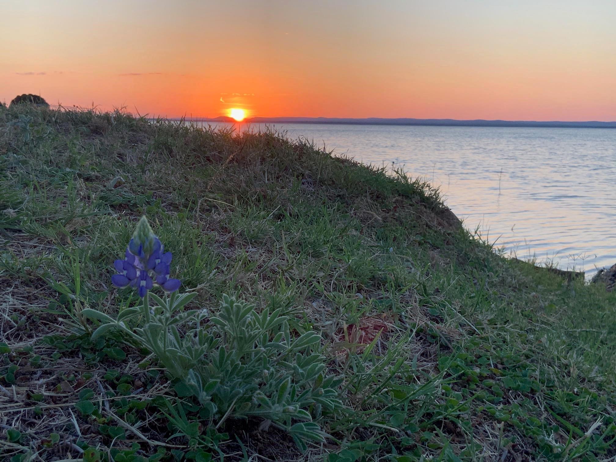 724 S Chaparral, Burnet, TX 78611