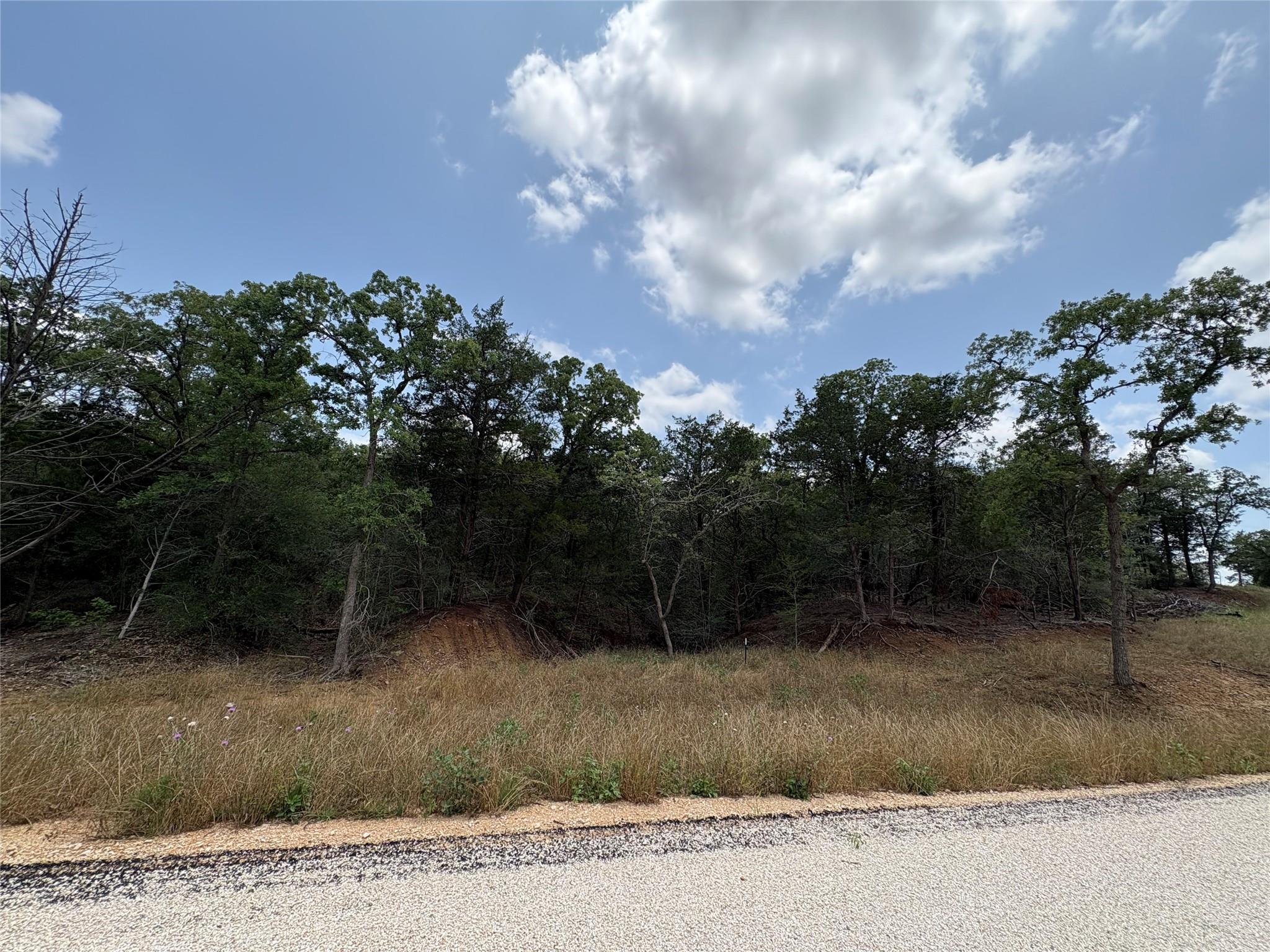 0000 Carter Rd, Dale, TX 78616