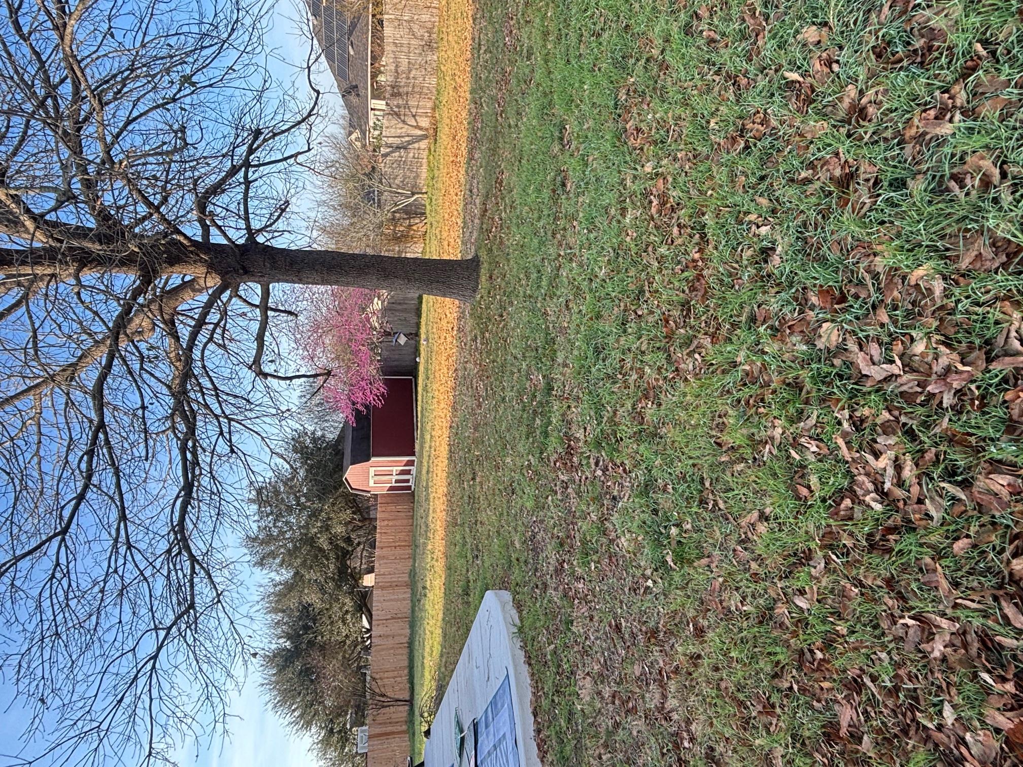 3336 Ashleys Way, Marion, TX 78124