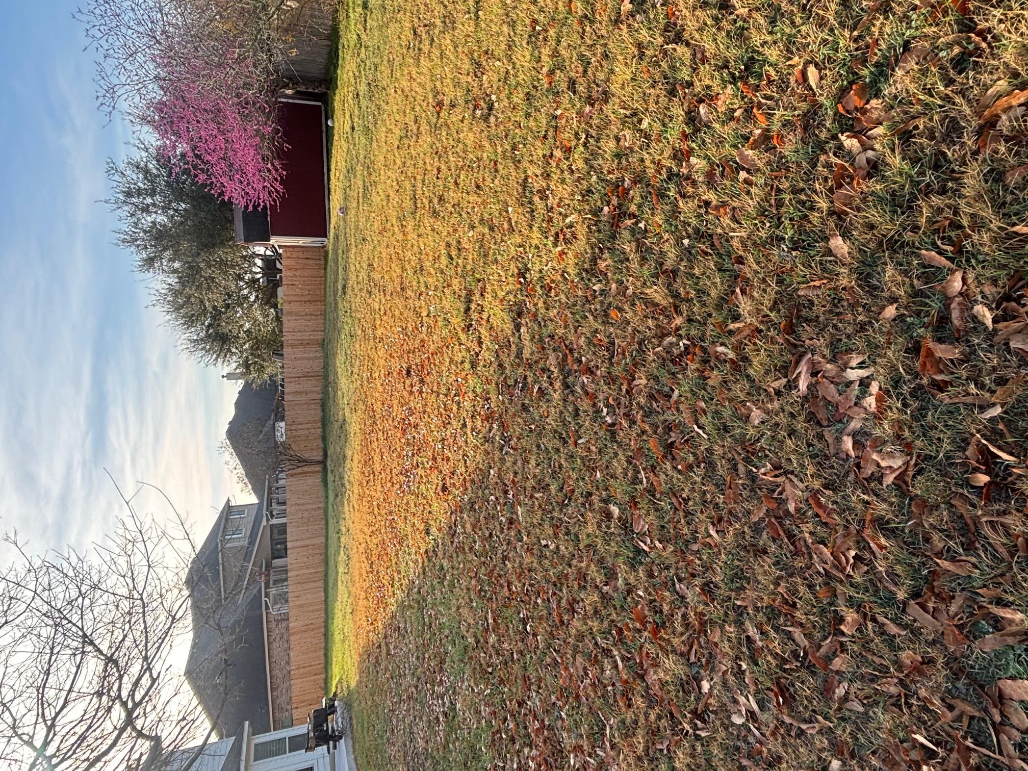 3336 Ashleys Way, Marion, TX 78124