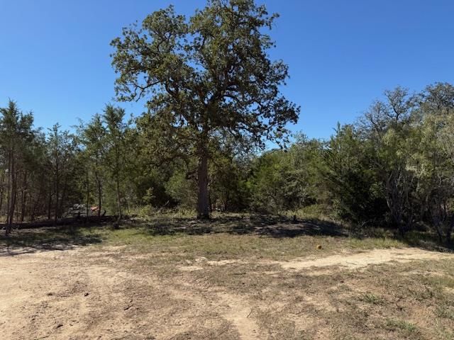 3.9 Acres Synergy Dr, Bastrop, TX 78602