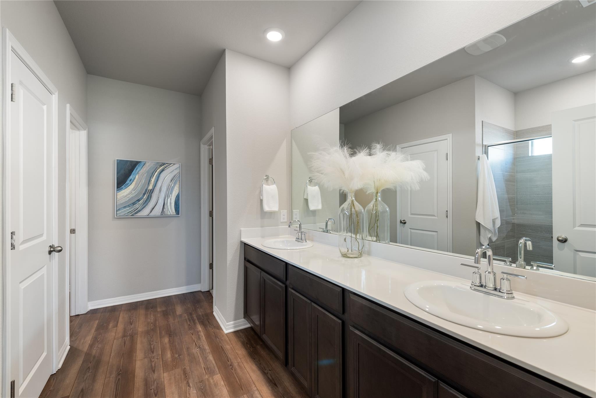 17608 Caldera Way, Manor, TX 78653