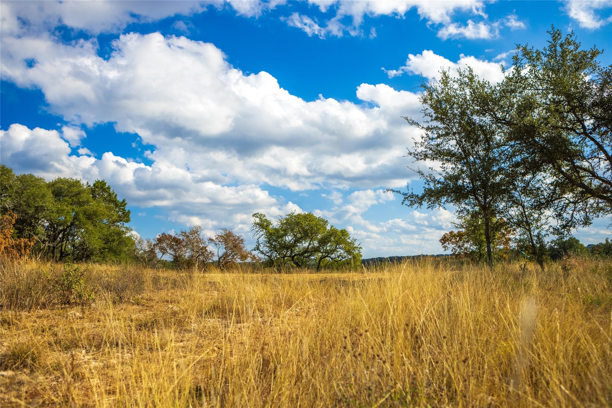 7301 Creek Rd, Dripping Springs, TX 78620