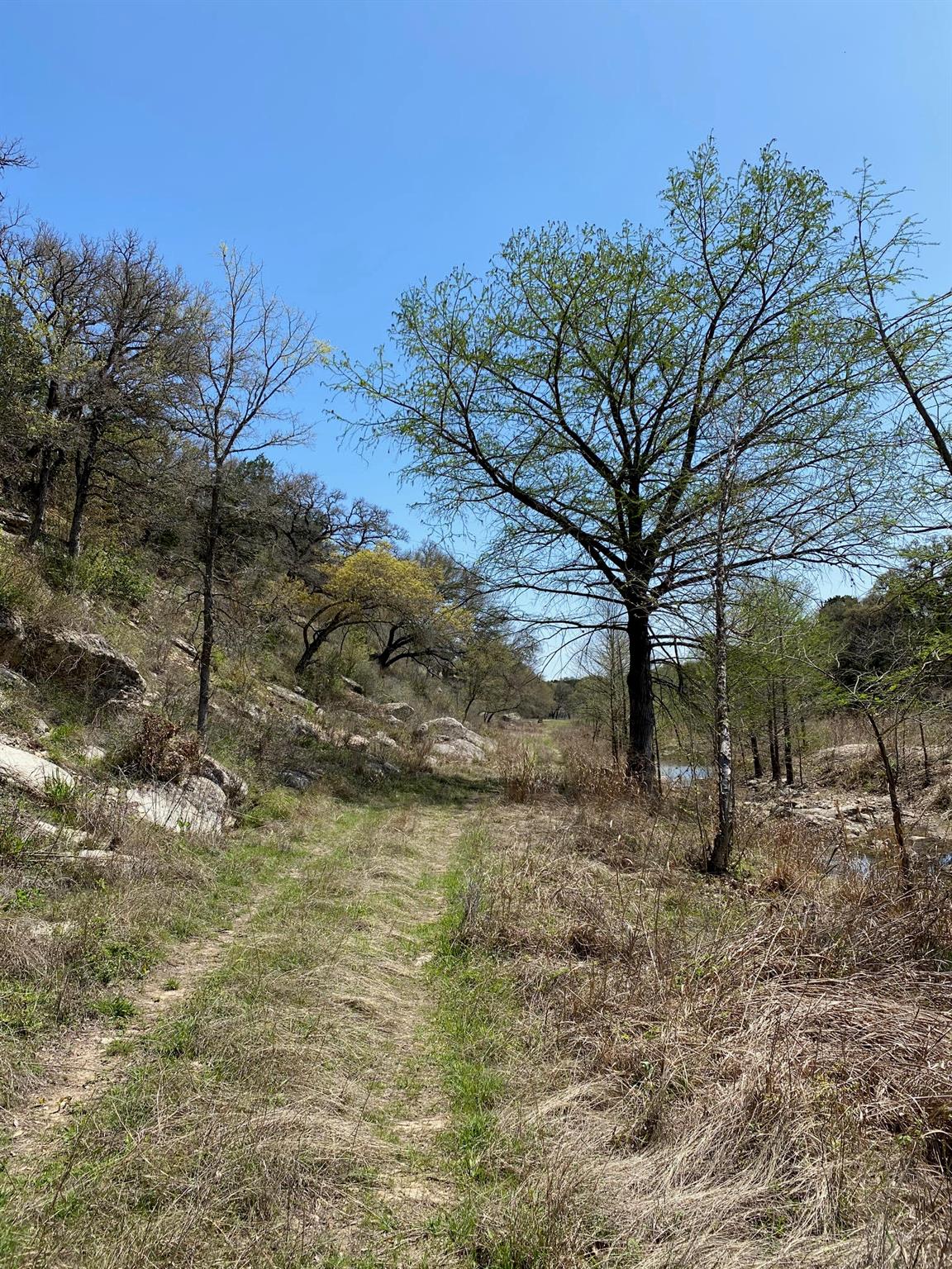 7301 Creek Rd, Dripping Springs, TX 78620