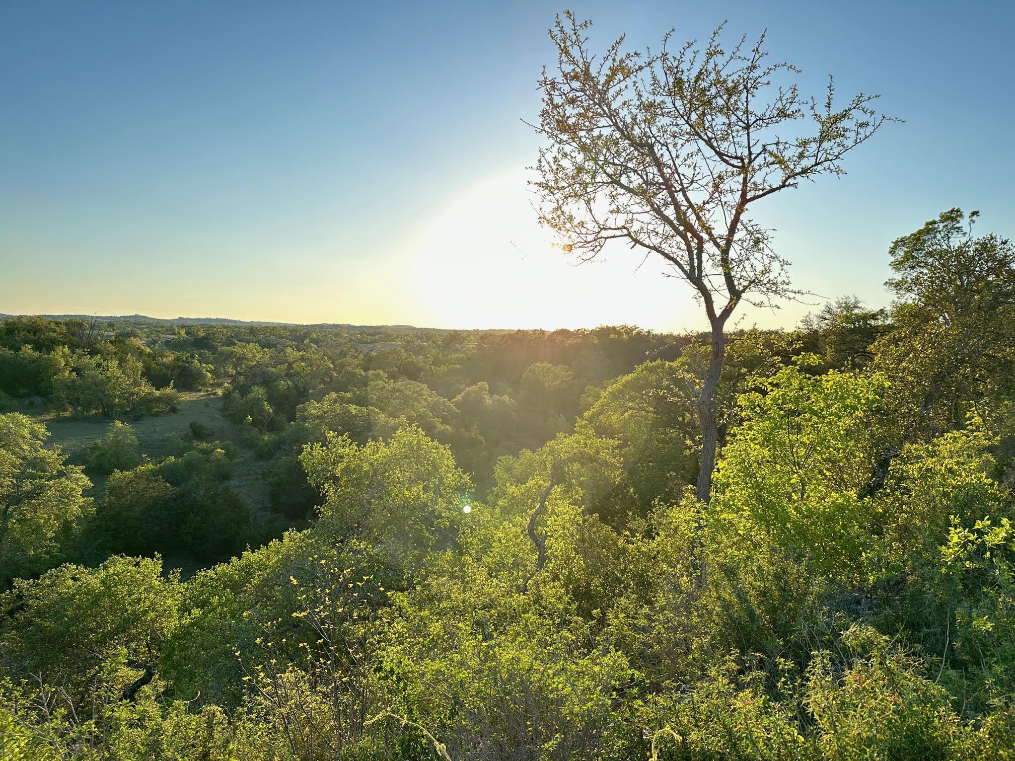 7301 Creek Rd, Dripping Springs, TX 78620