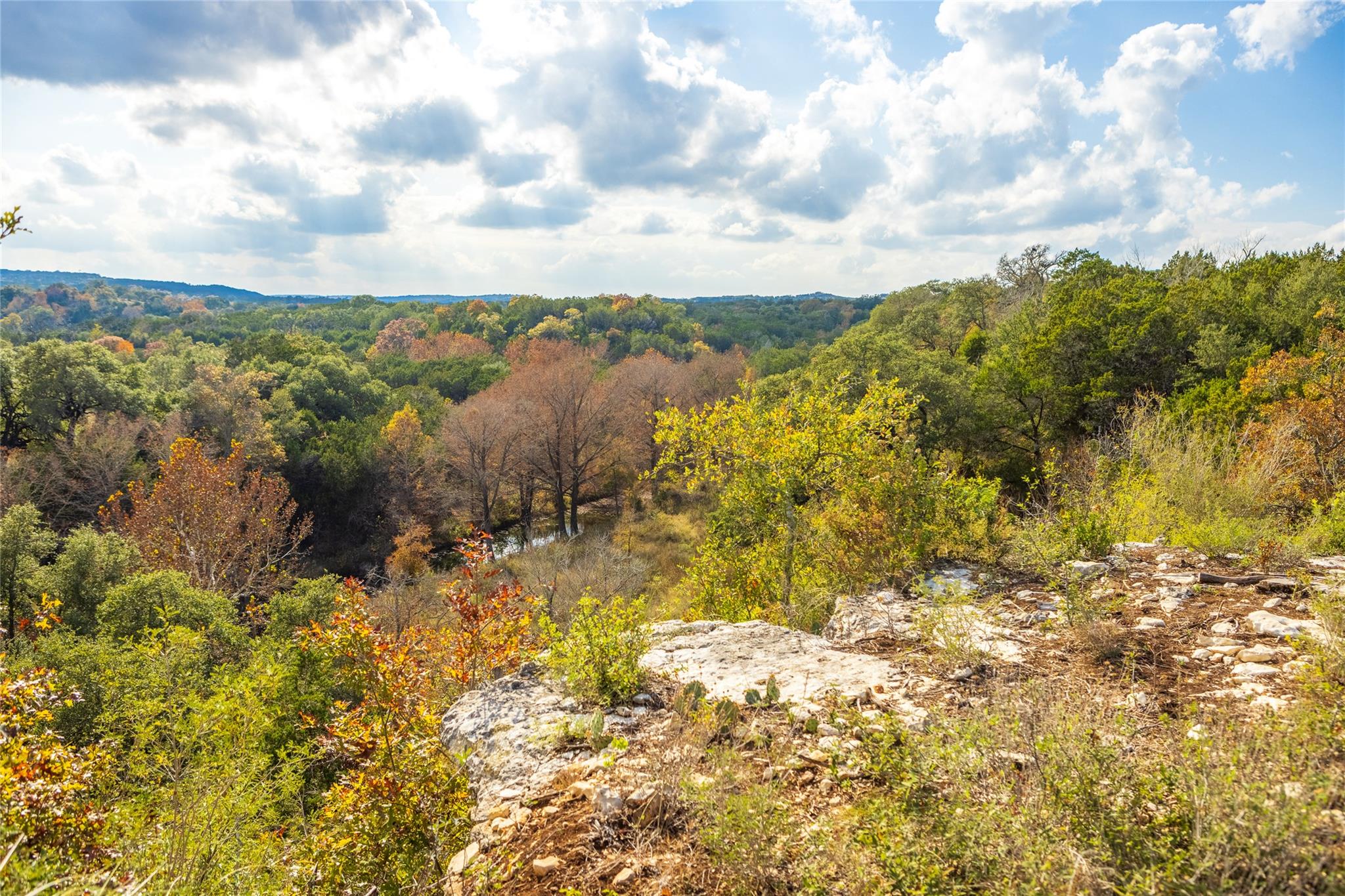 7301 Creek Rd, Dripping Springs, TX 78620