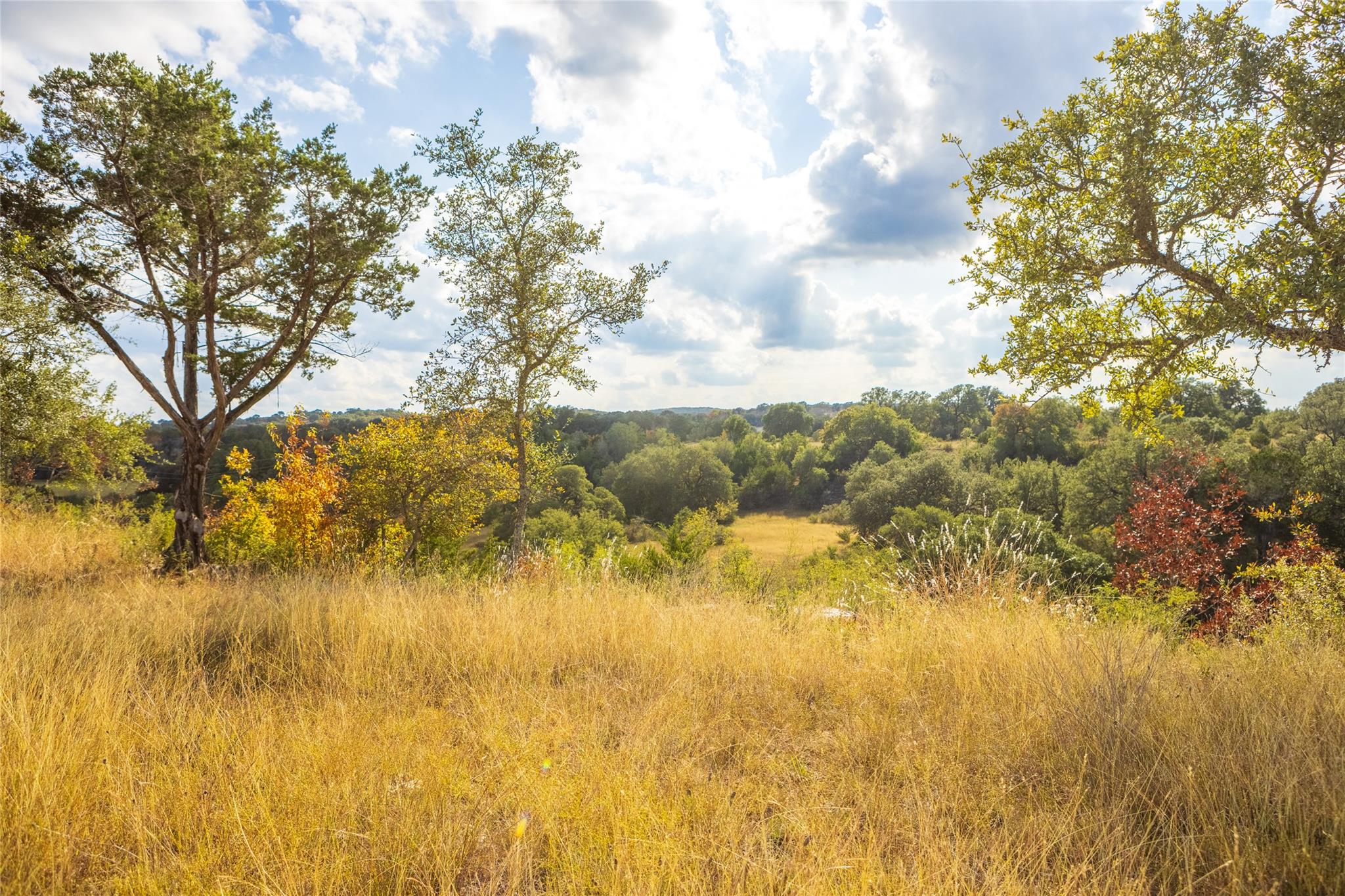 7301 Creek Rd, Dripping Springs, TX 78620