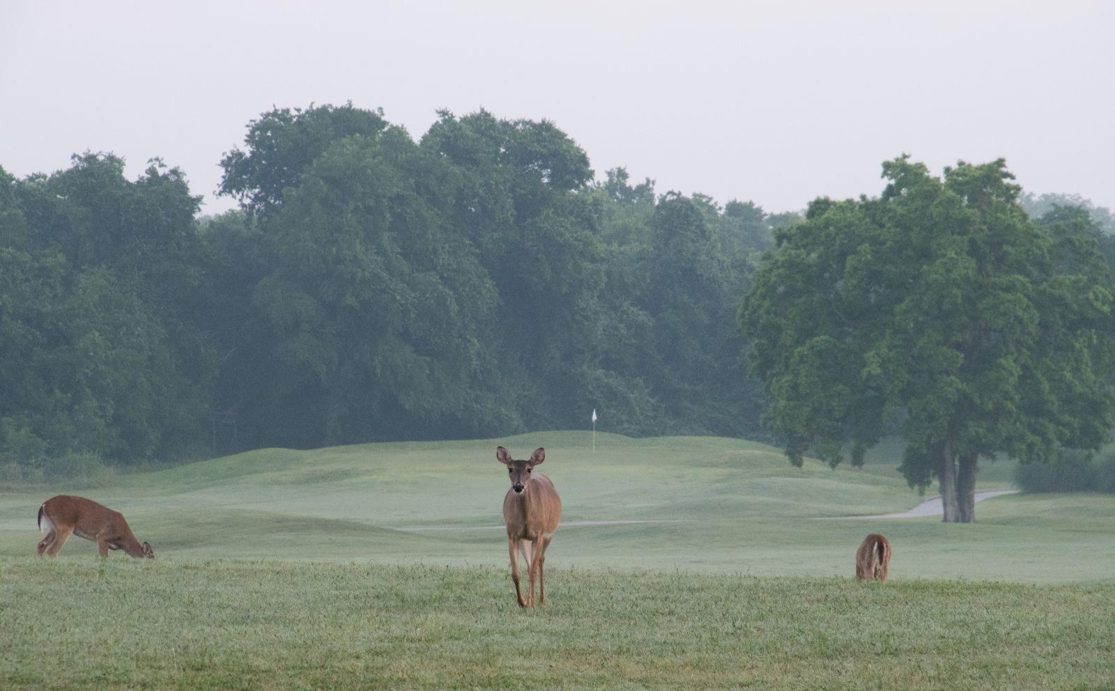 1101 Grove Blvd # 304, Austin, TX 78741