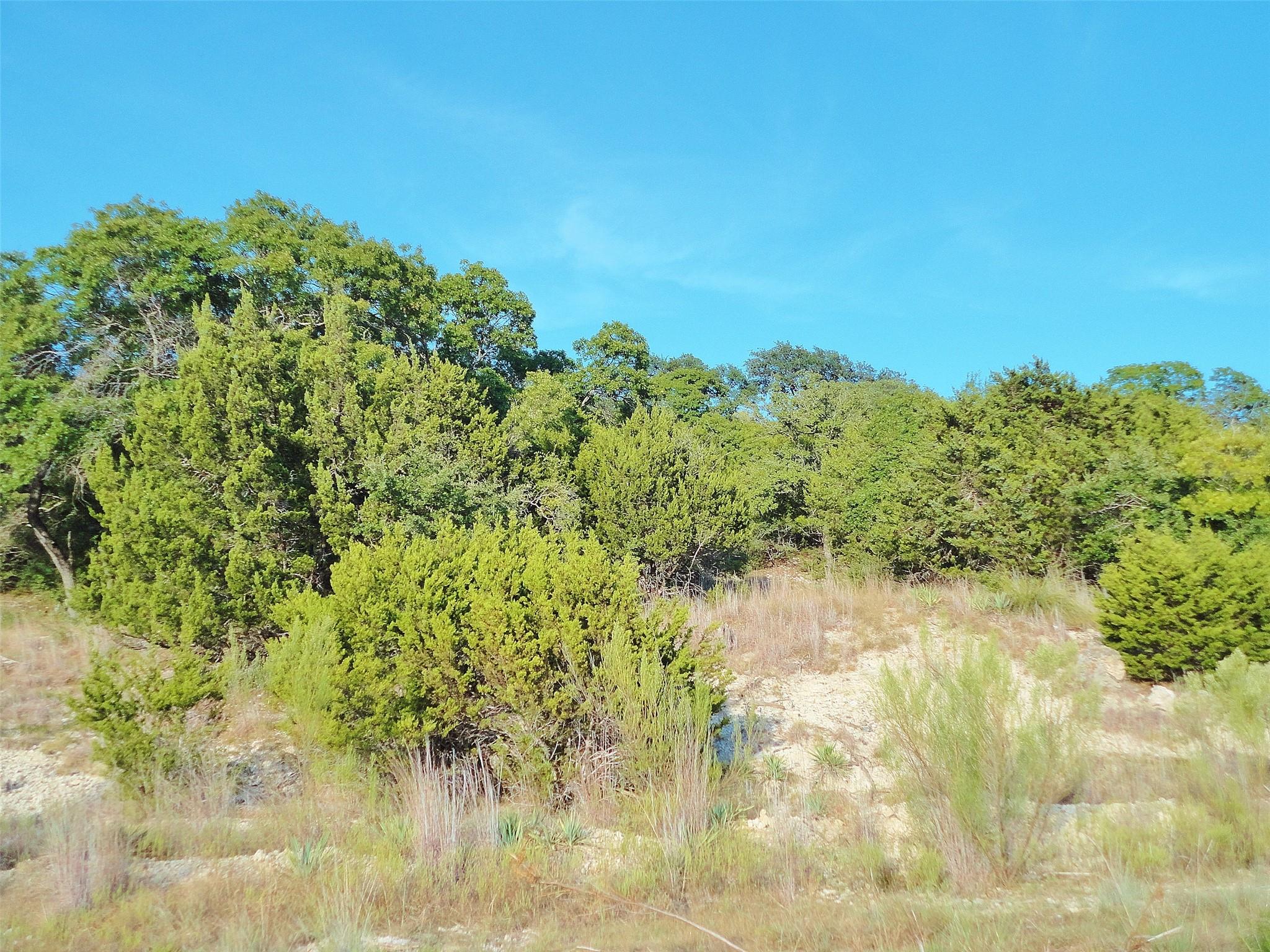 105 Cedar Bluff Ct, Harker Heights, TX 76548