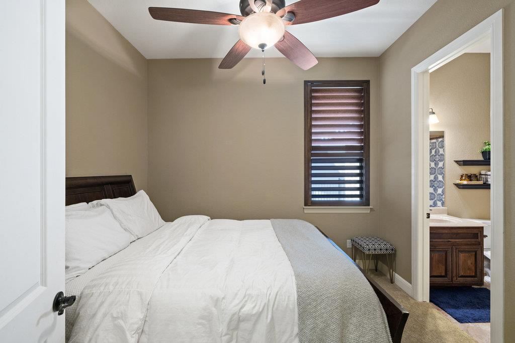 17213 Rush Pea Cir, Austin, TX 78738