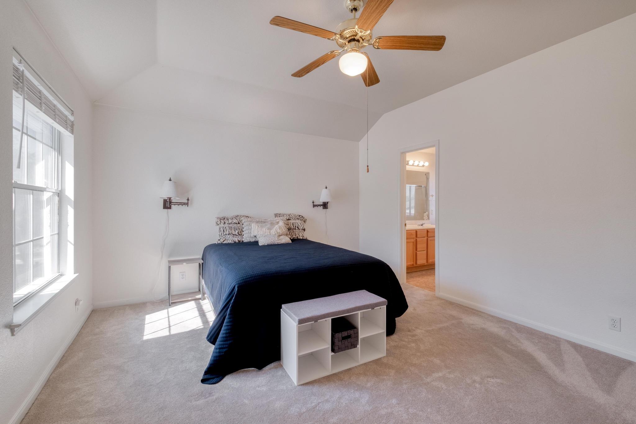 16628 Trevin Cv, Manor, TX 78653