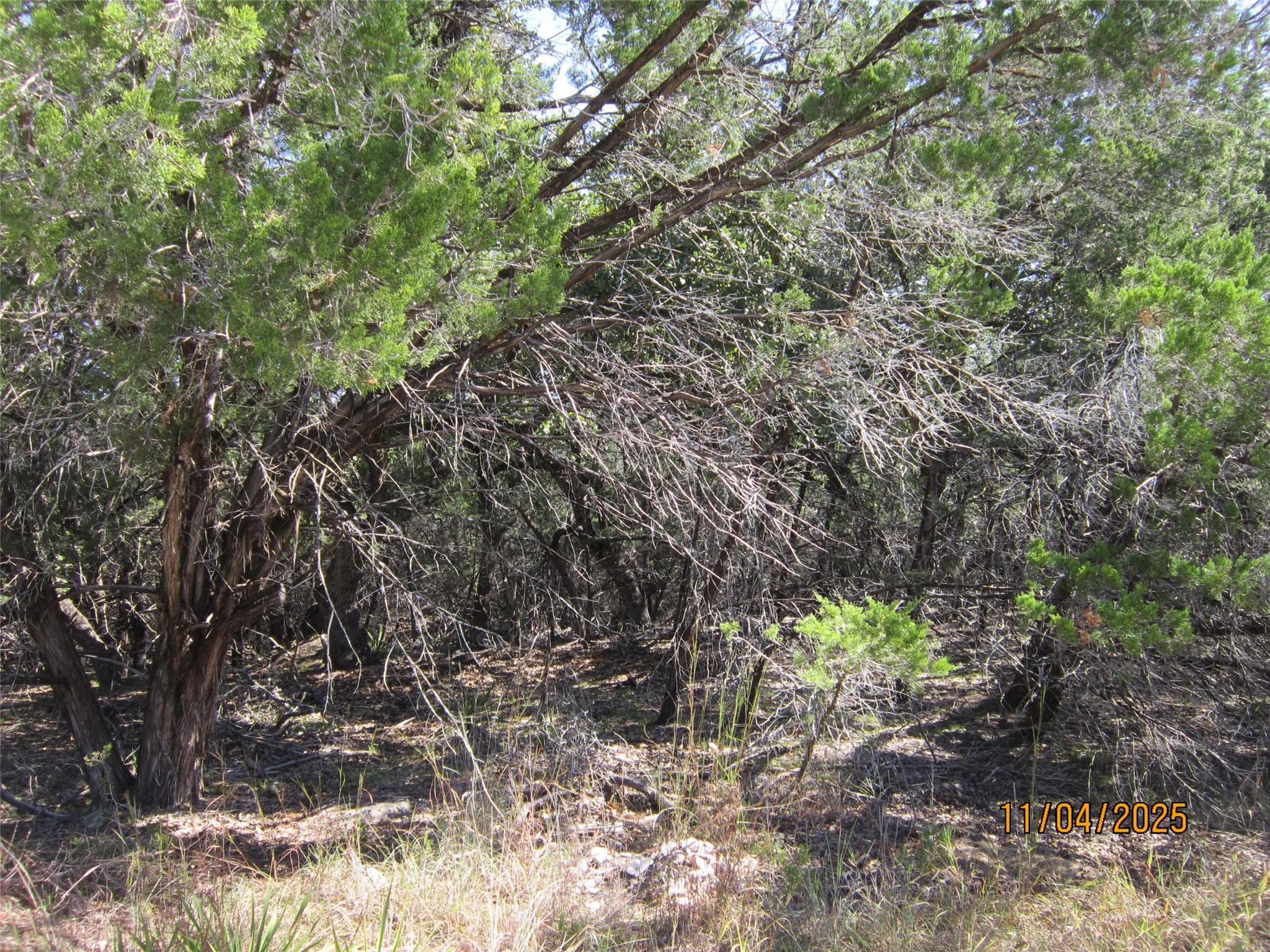 20903 Oak Dale Dr, Lago Vista, TX 78645