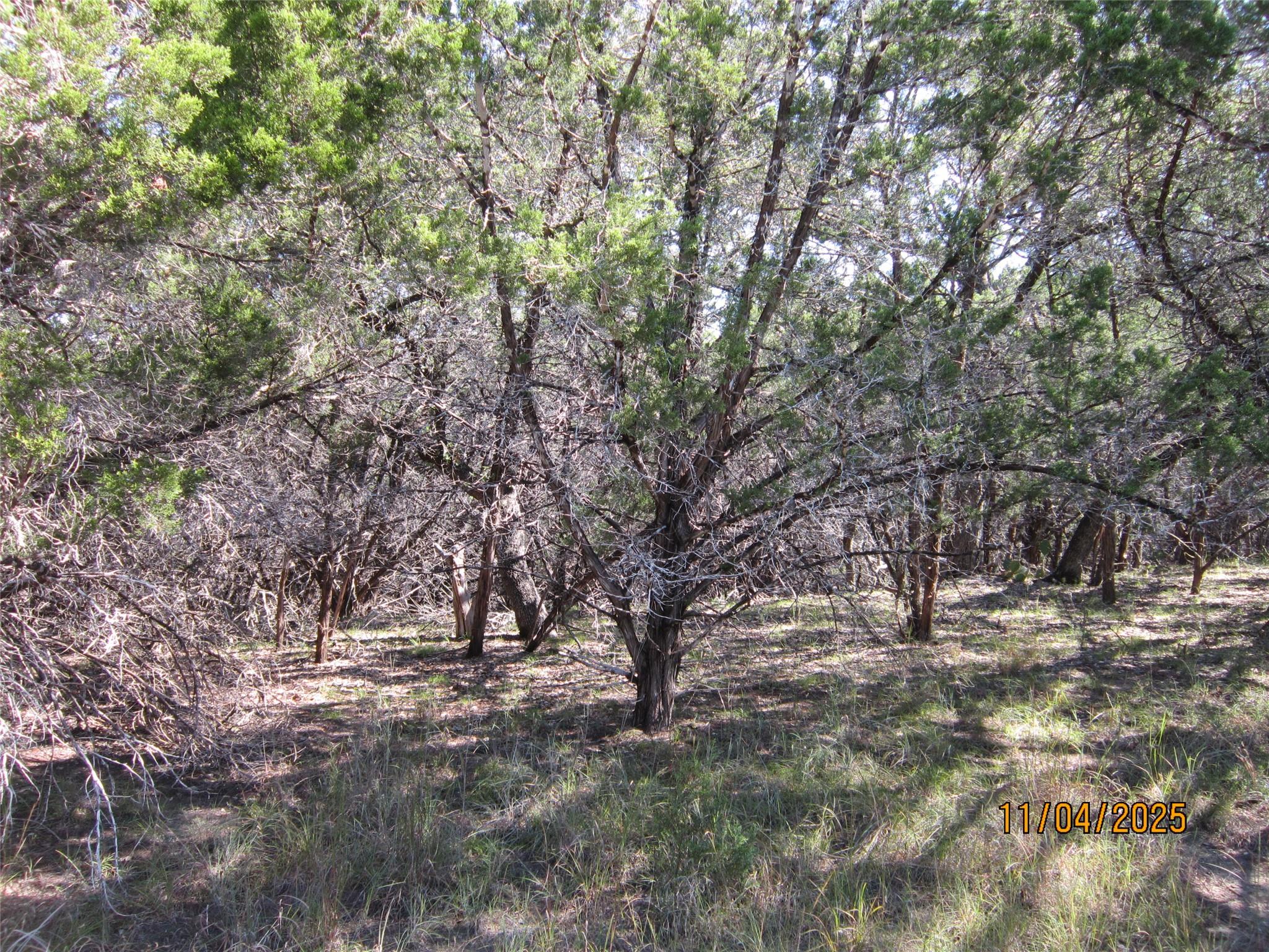 20903 Oak Dale Dr, Lago Vista, TX 78645